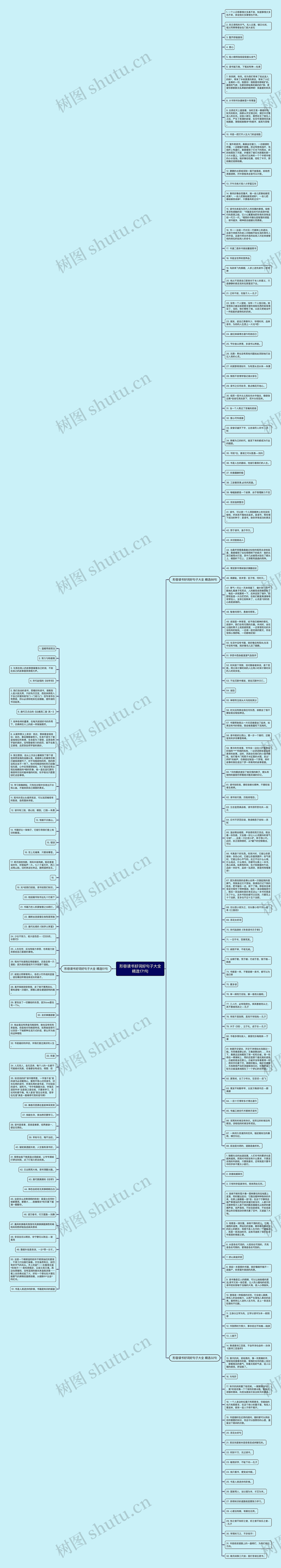 形容读书好词好句子大全精选171句思维导图