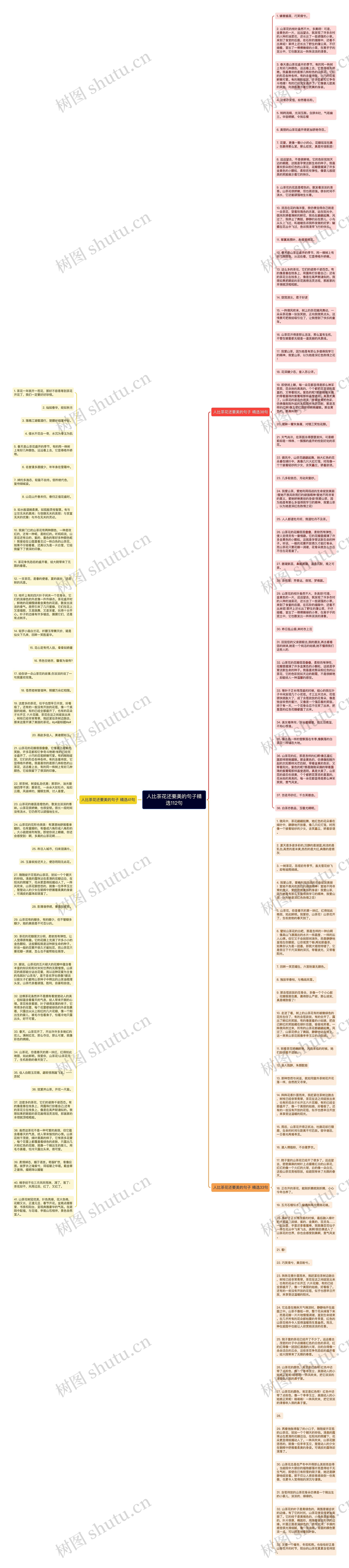 人比茶花还要美的句子精选112句思维导图