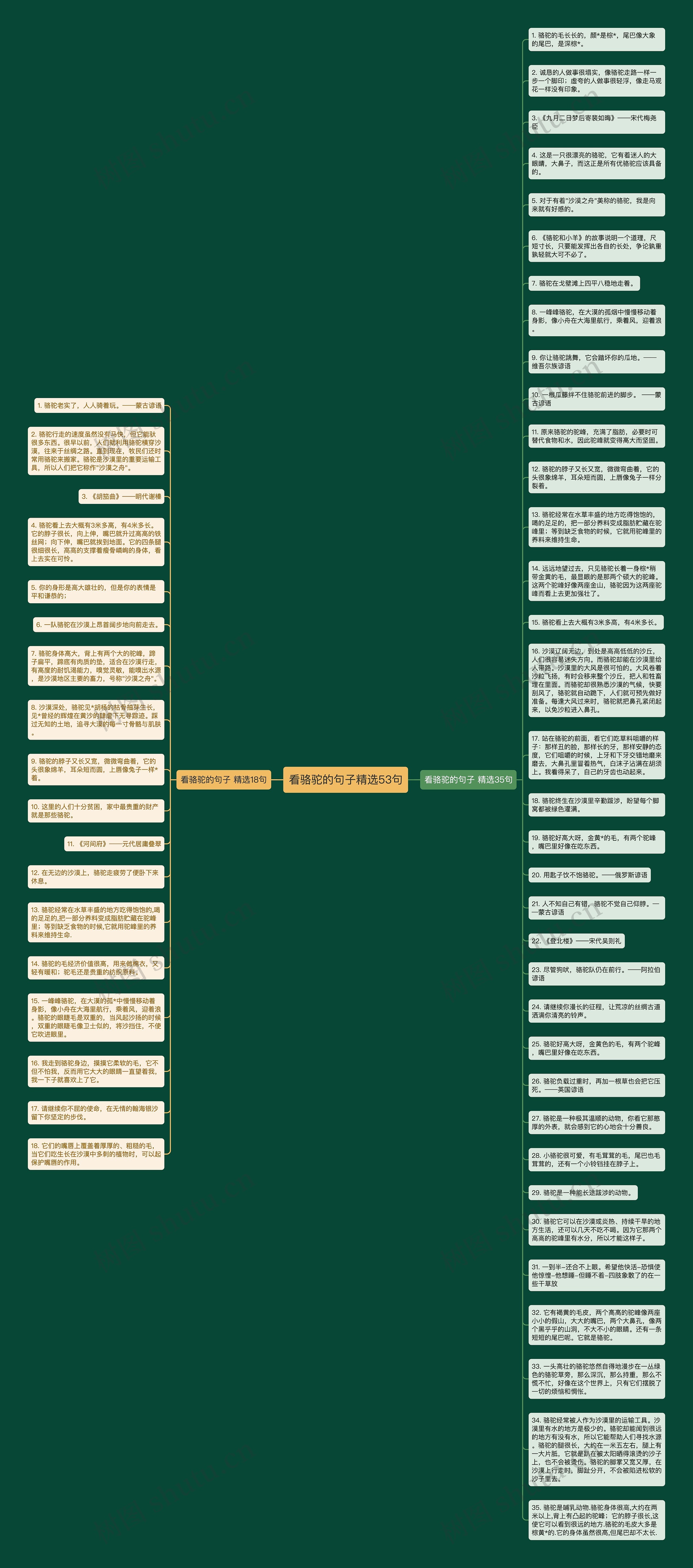 看骆驼的句子精选53句思维导图