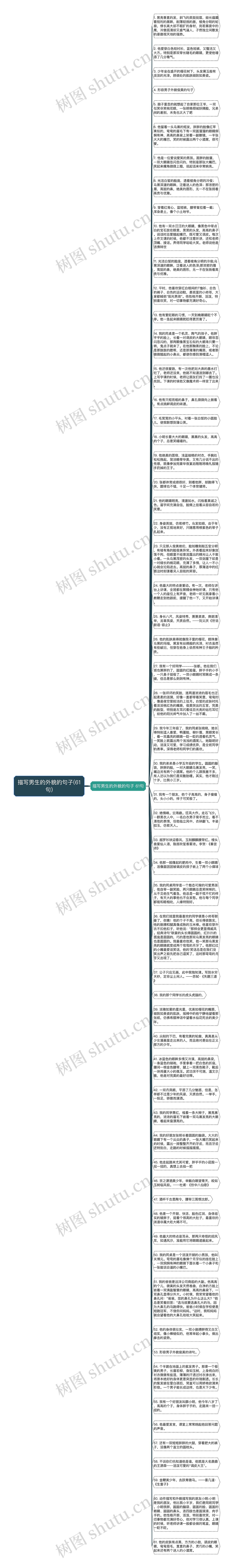 描写男生的外貌的句子(61句)思维导图