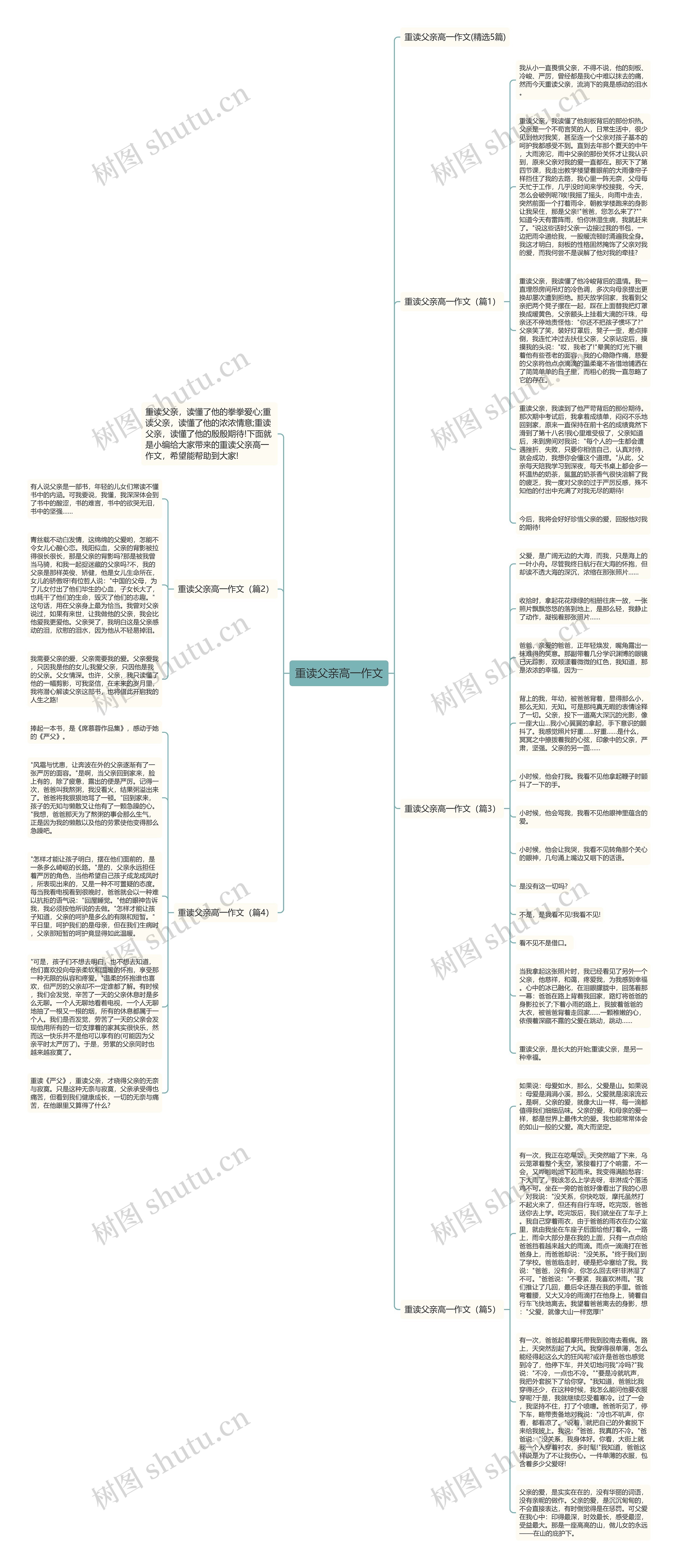 重读父亲高一作文思维导图