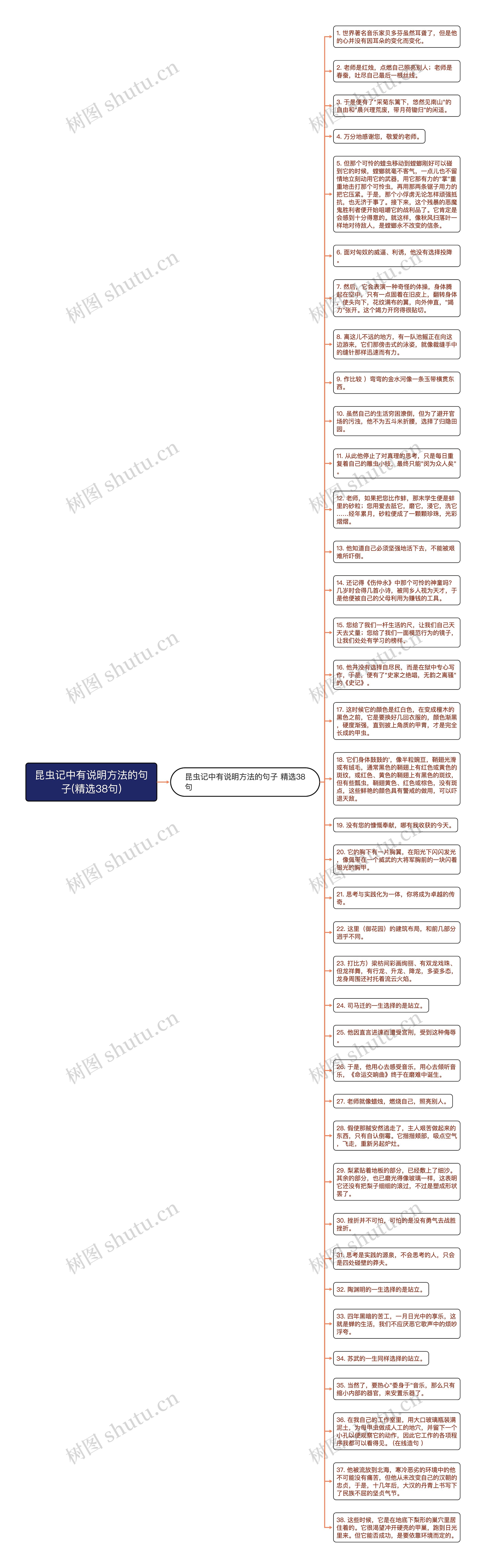 昆虫记中有说明方法的句子(精选38句)思维导图