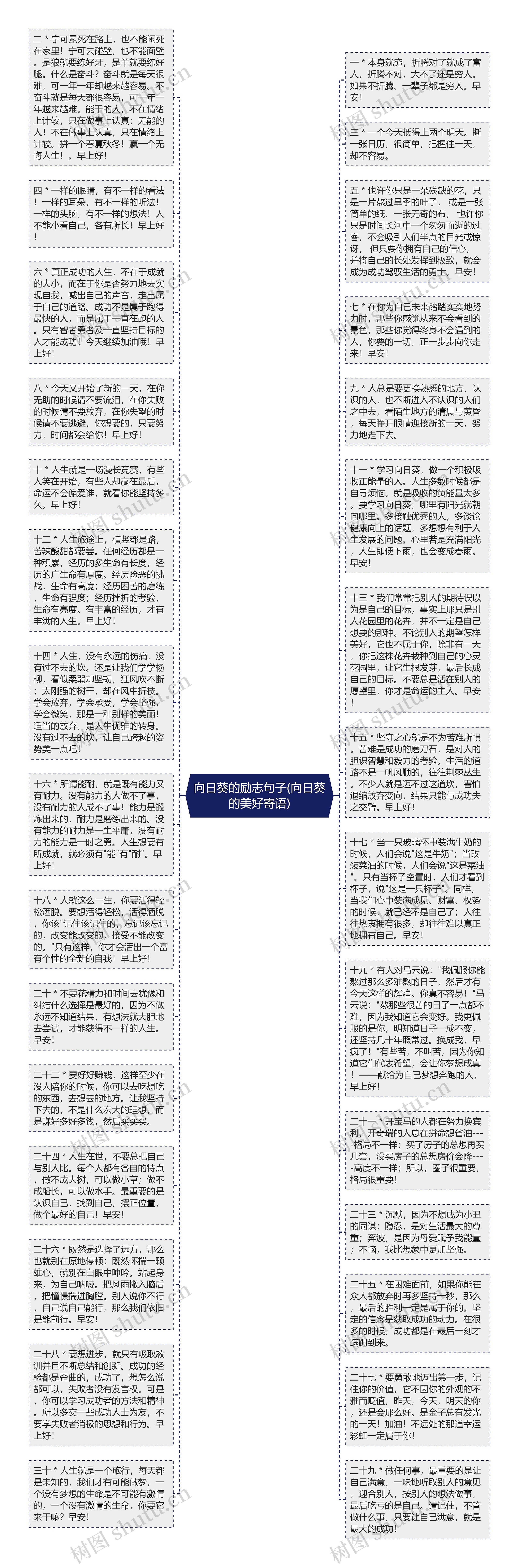 向日葵的励志句子(向日葵的美好寄语)思维导图