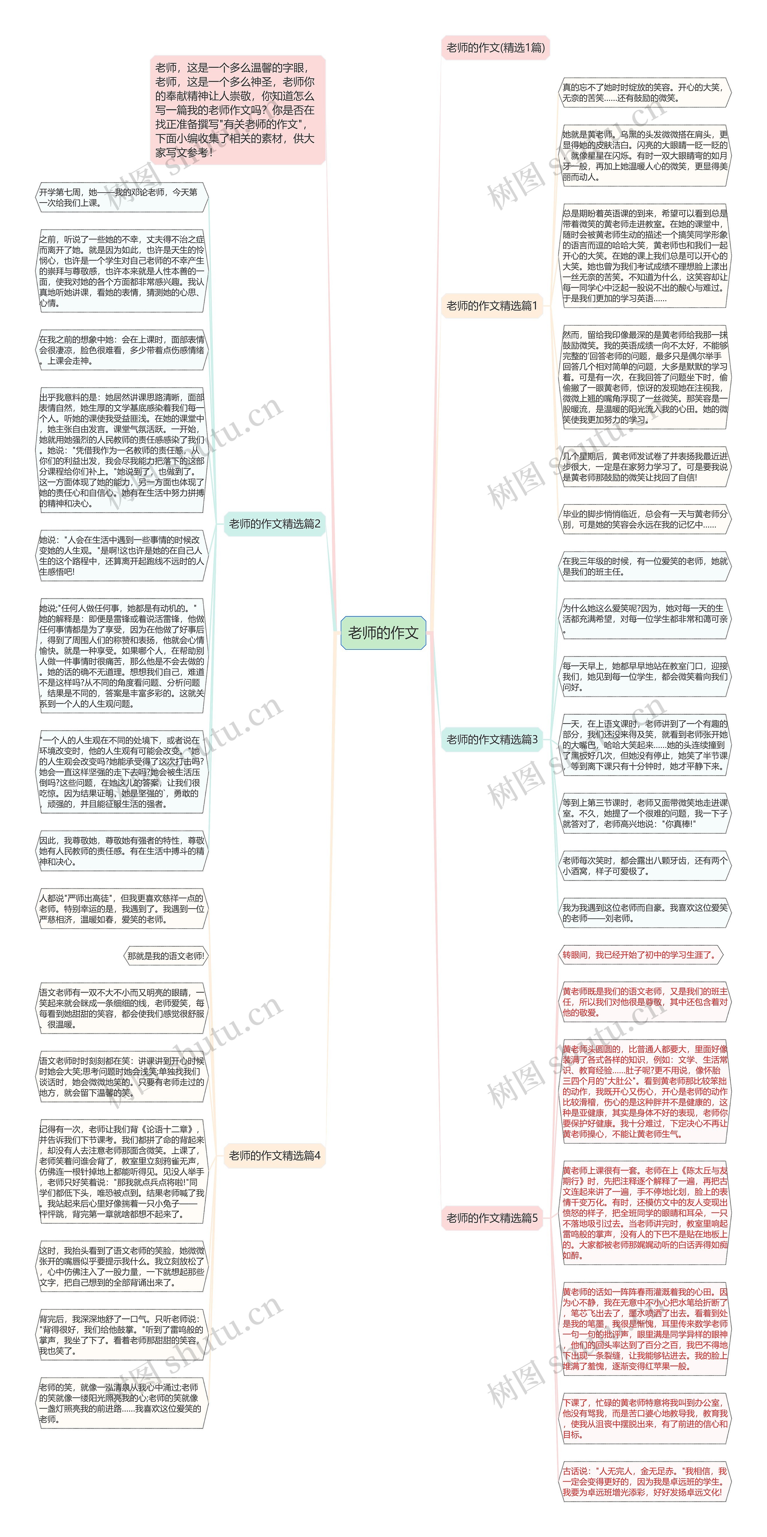 老师的作文