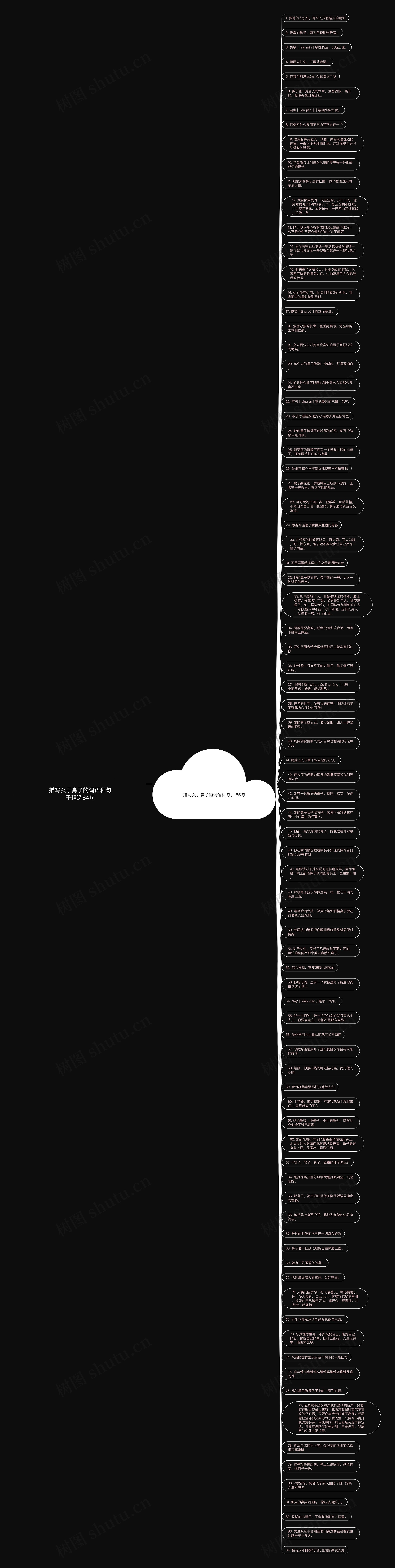 描写女子鼻子的词语和句子精选84句思维导图