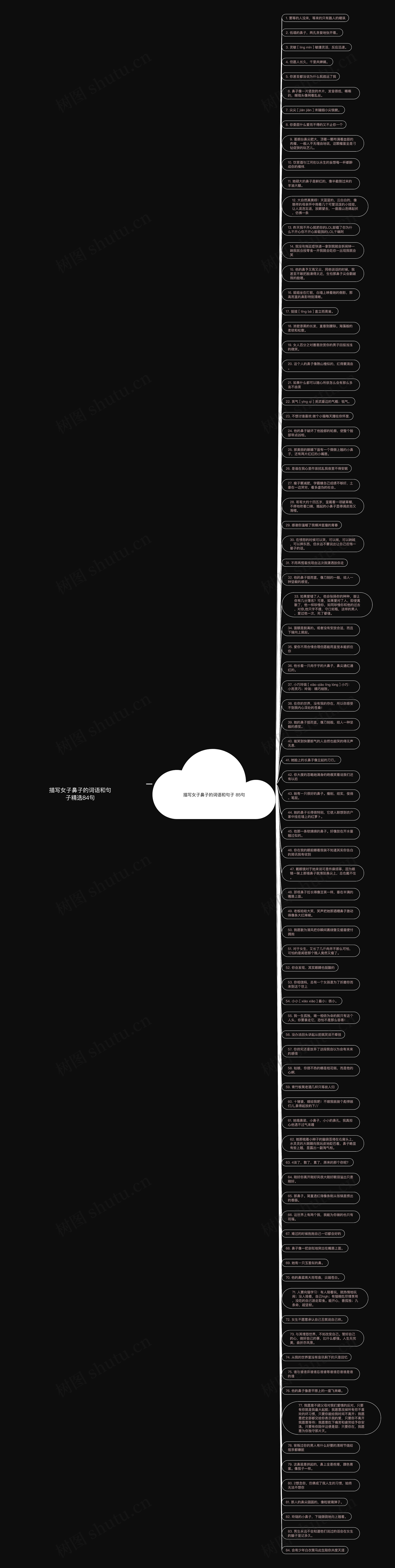 描写女子鼻子的词语和句子精选84句思维导图高清图 描写女子鼻子的词语和句子精选84句思维导图