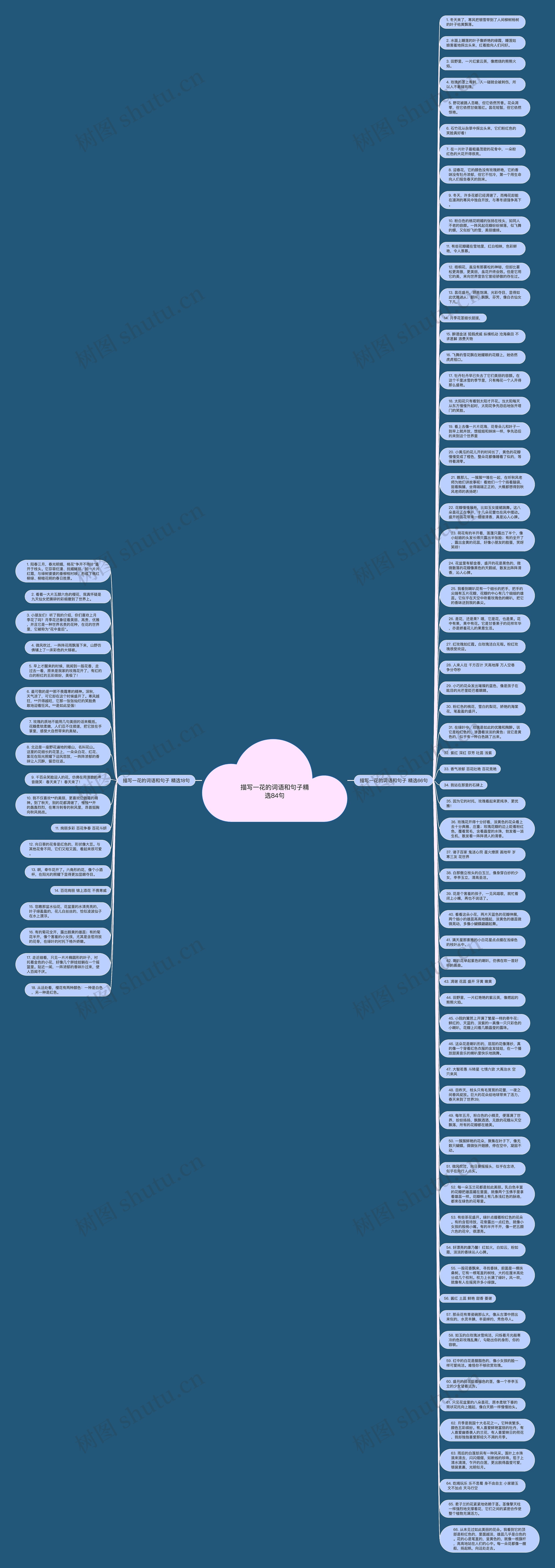 描写一花的词语和句子精选84句思维导图