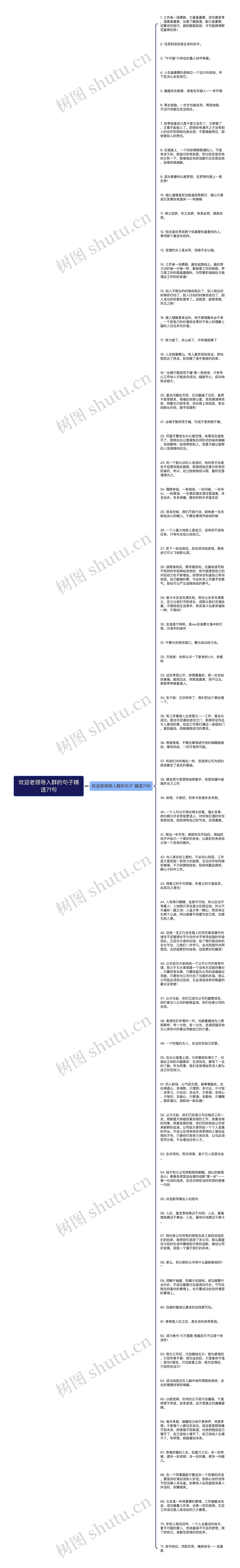 欢迎老领导入群的句子精选71句思维导图