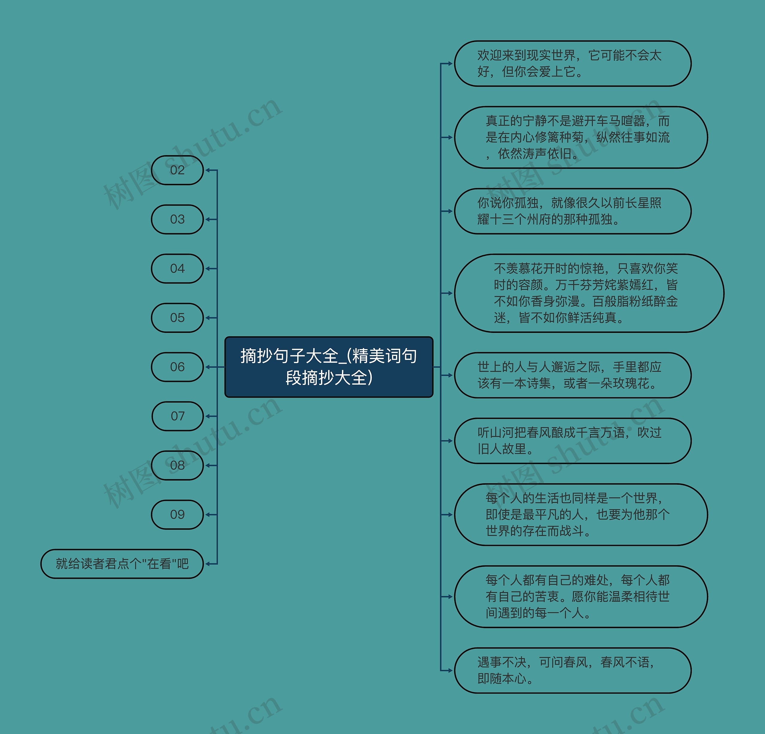 摘抄句子大全_(精美词句段摘抄大全)