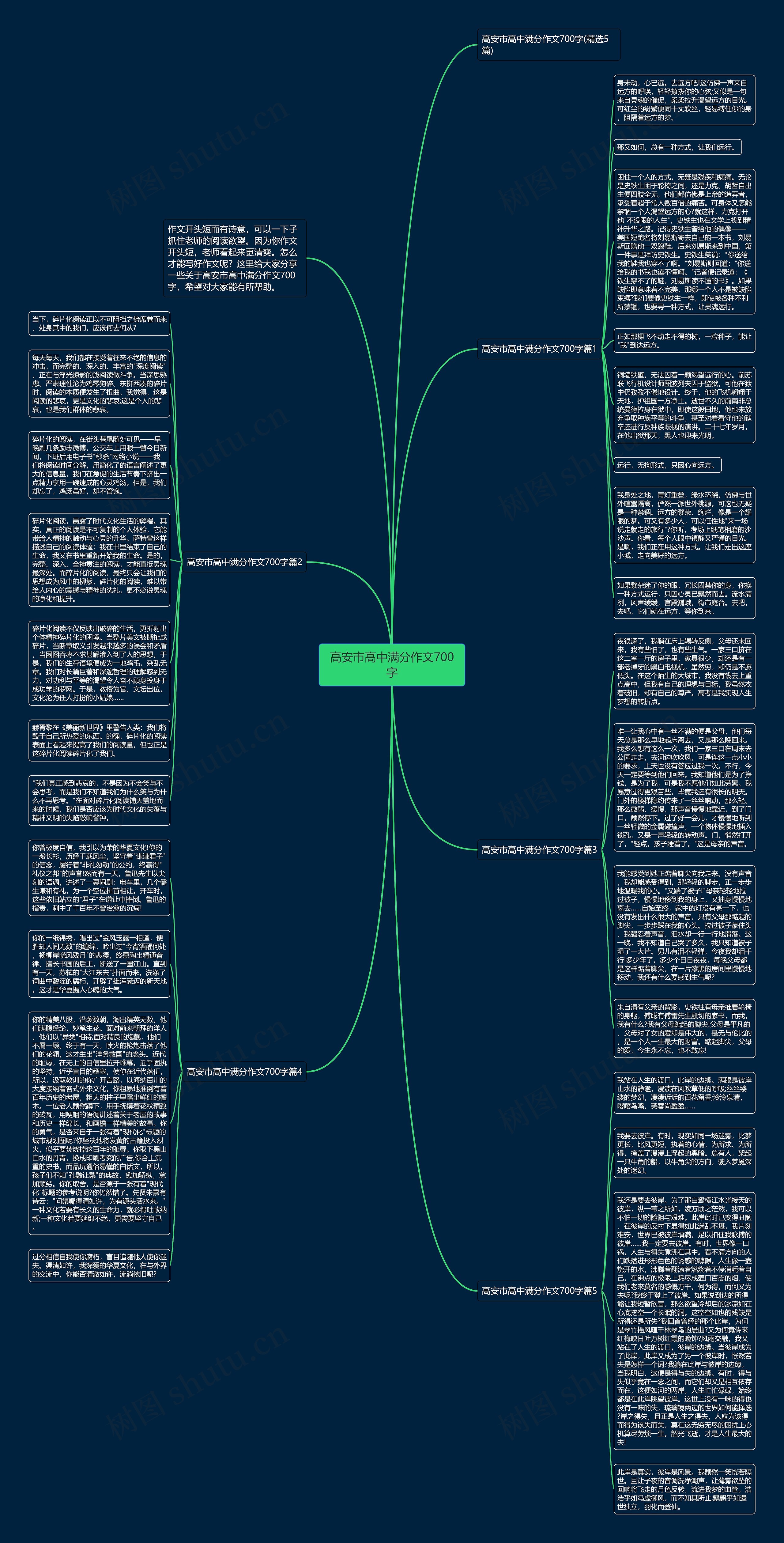 高安市高中满分作文700字思维导图