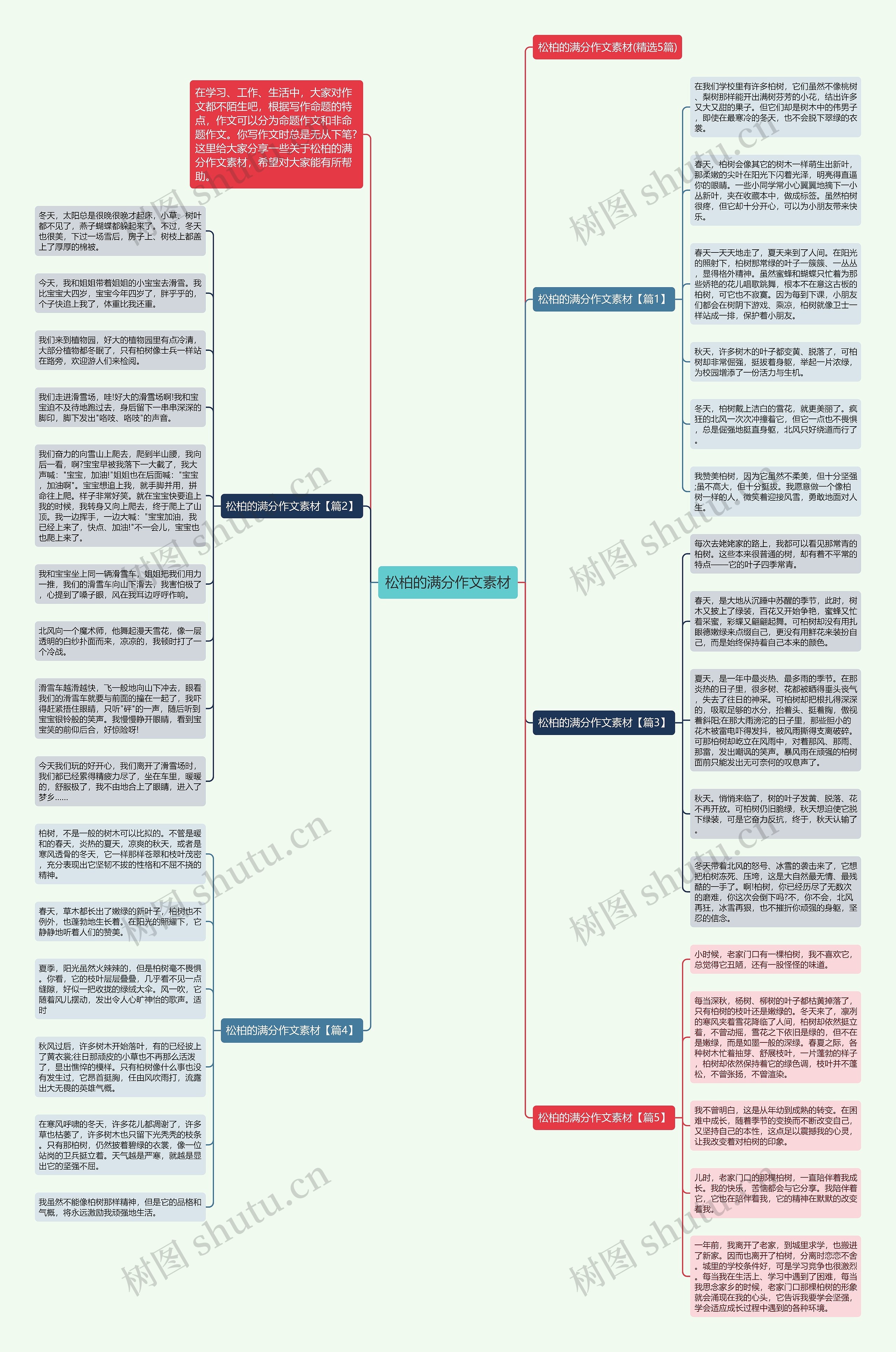 松柏的满分作文素材思维导图