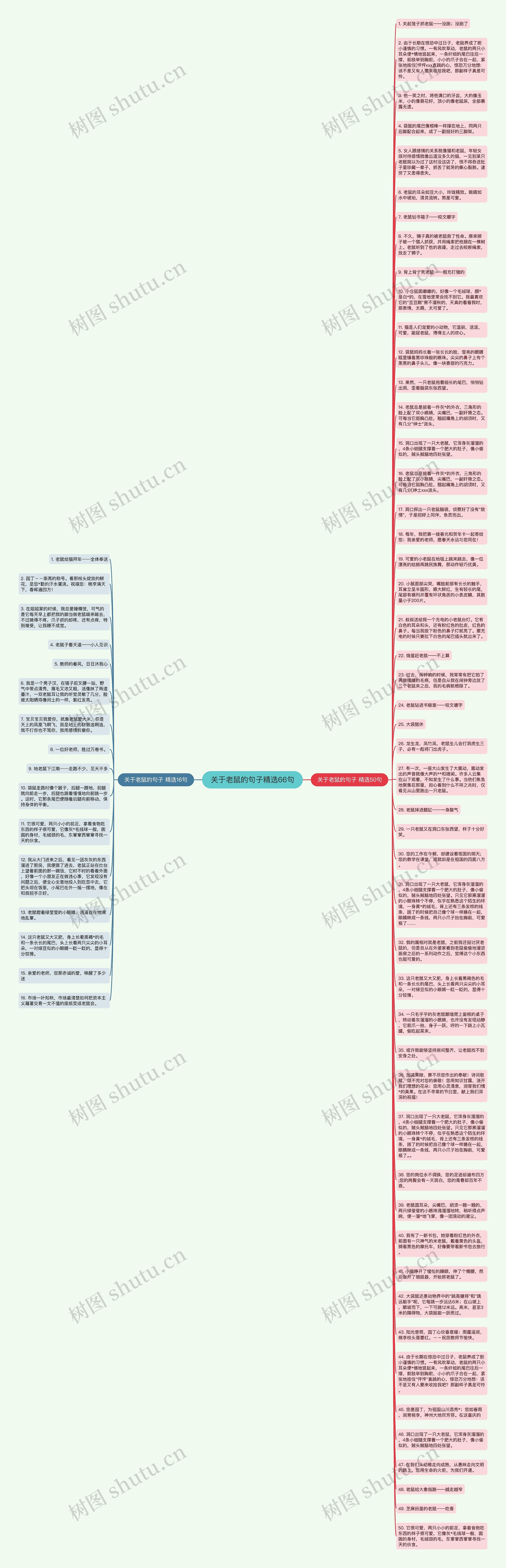 关于老鼠的句子精选66句思维导图