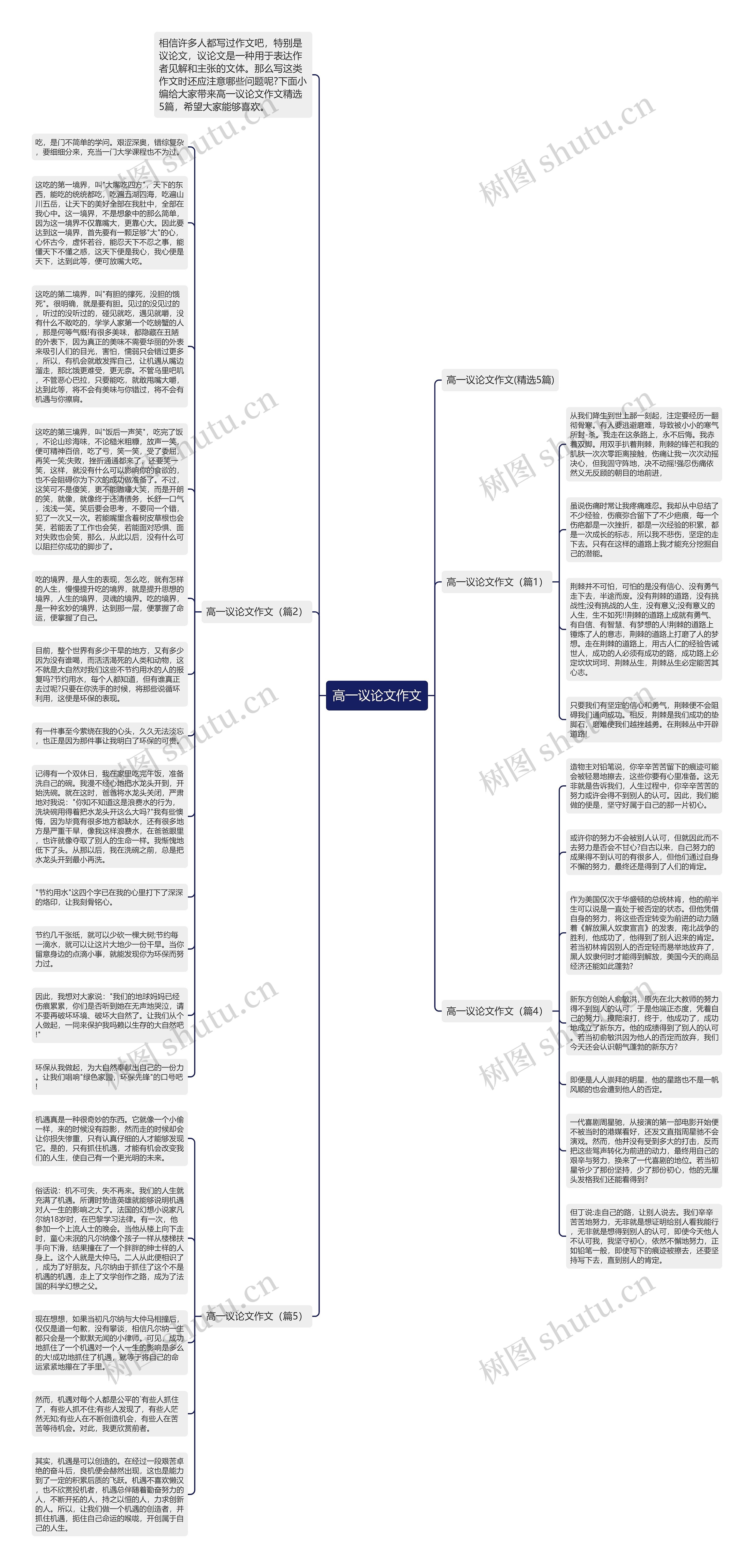 高一议论文作文思维导图