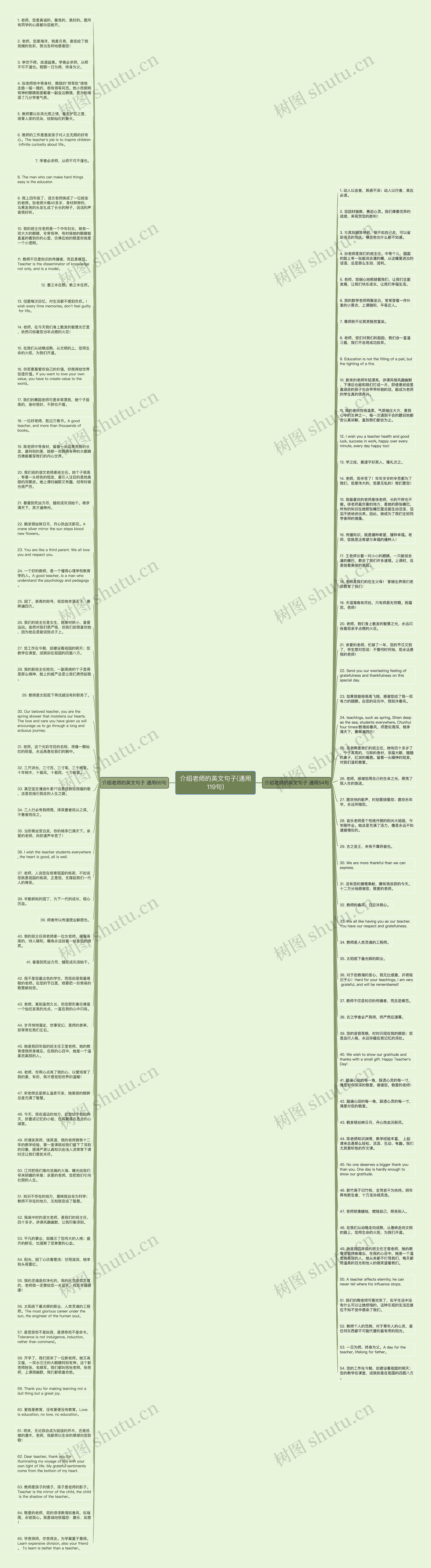 介绍老师的英文句子(通用119句)思维导图