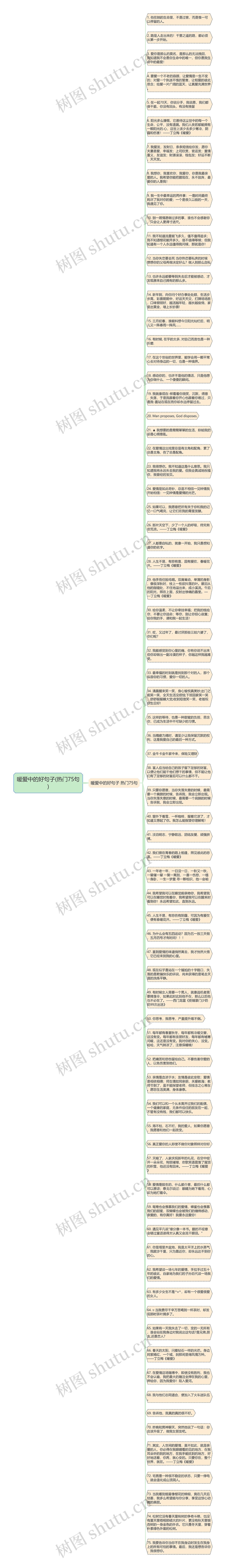 暖爱中的好句子(热门75句)思维导图