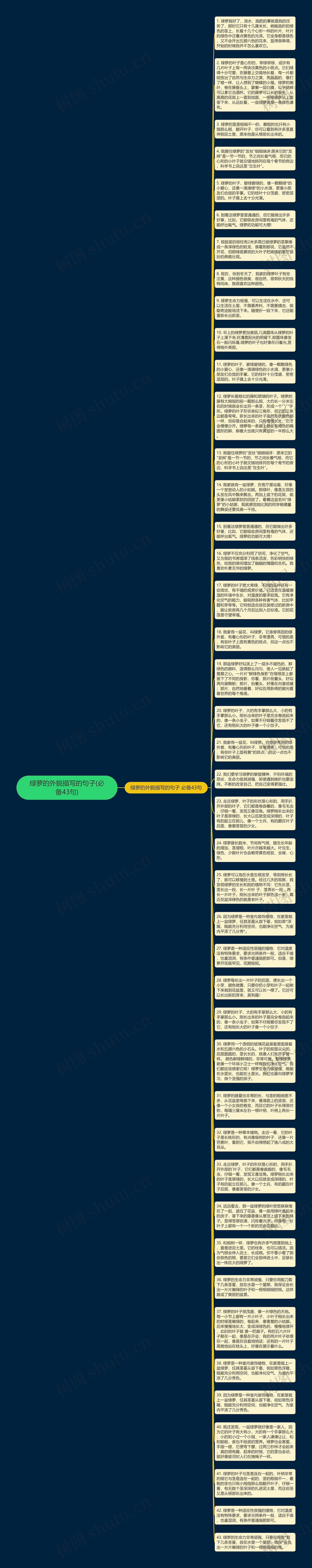 绿萝的外貌描写的句子(必备43句)思维导图