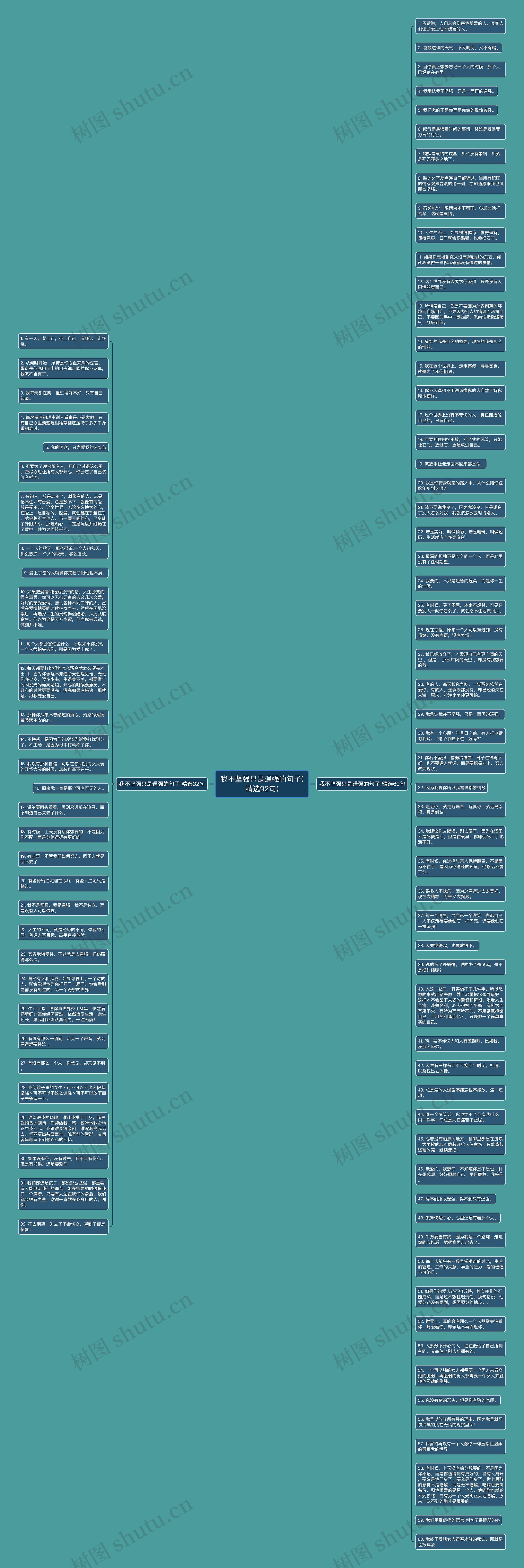 我不坚强只是逞强的句子(精选92句)思维导图