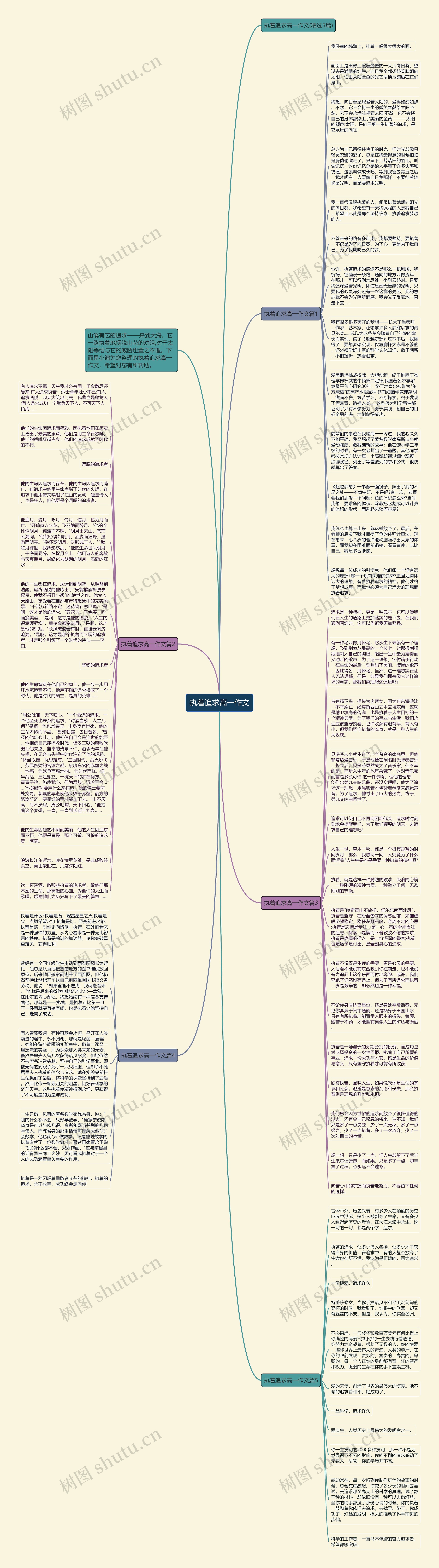 执着追求高一作文思维导图