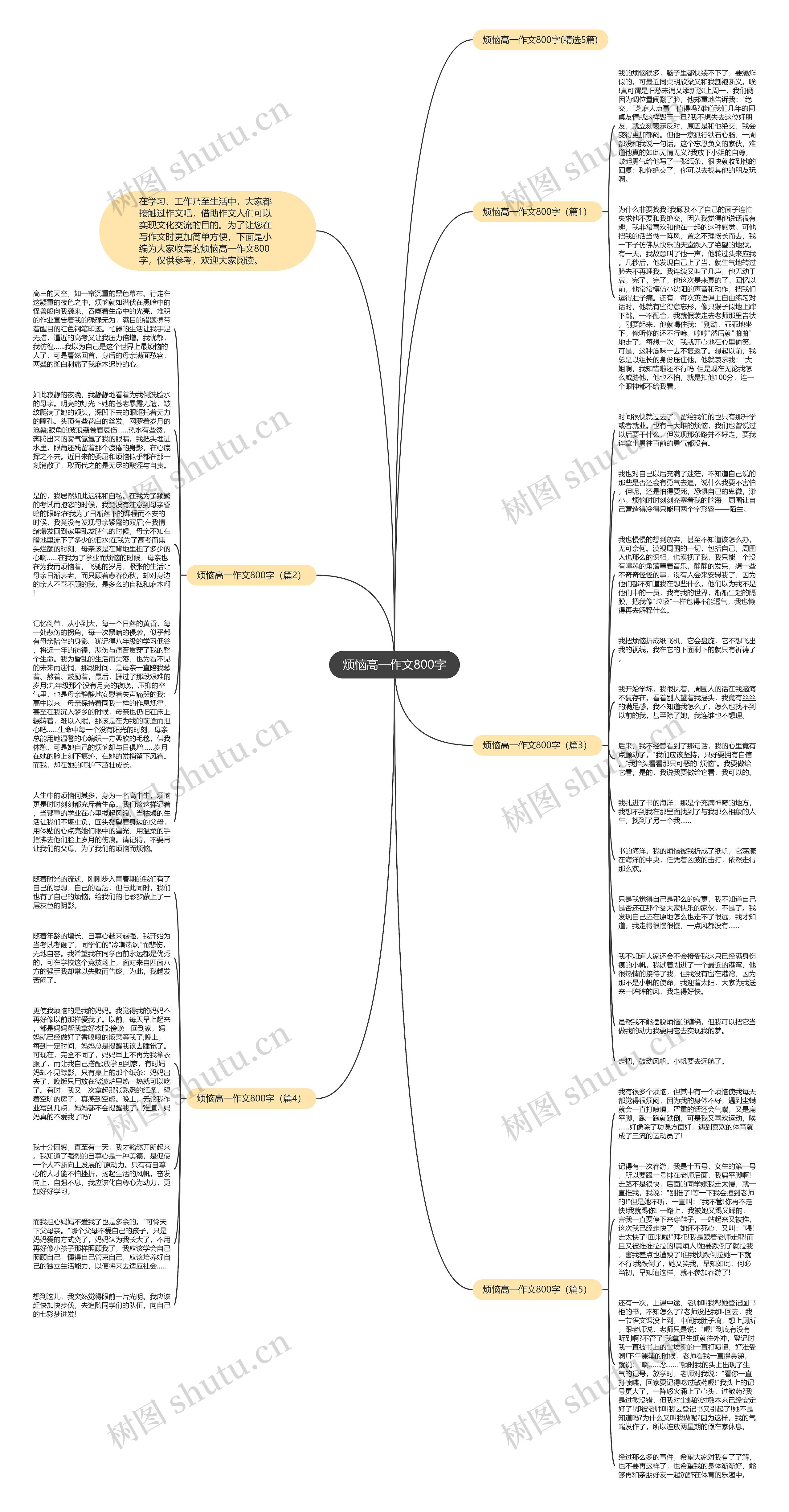 烦恼高一作文800字思维导图