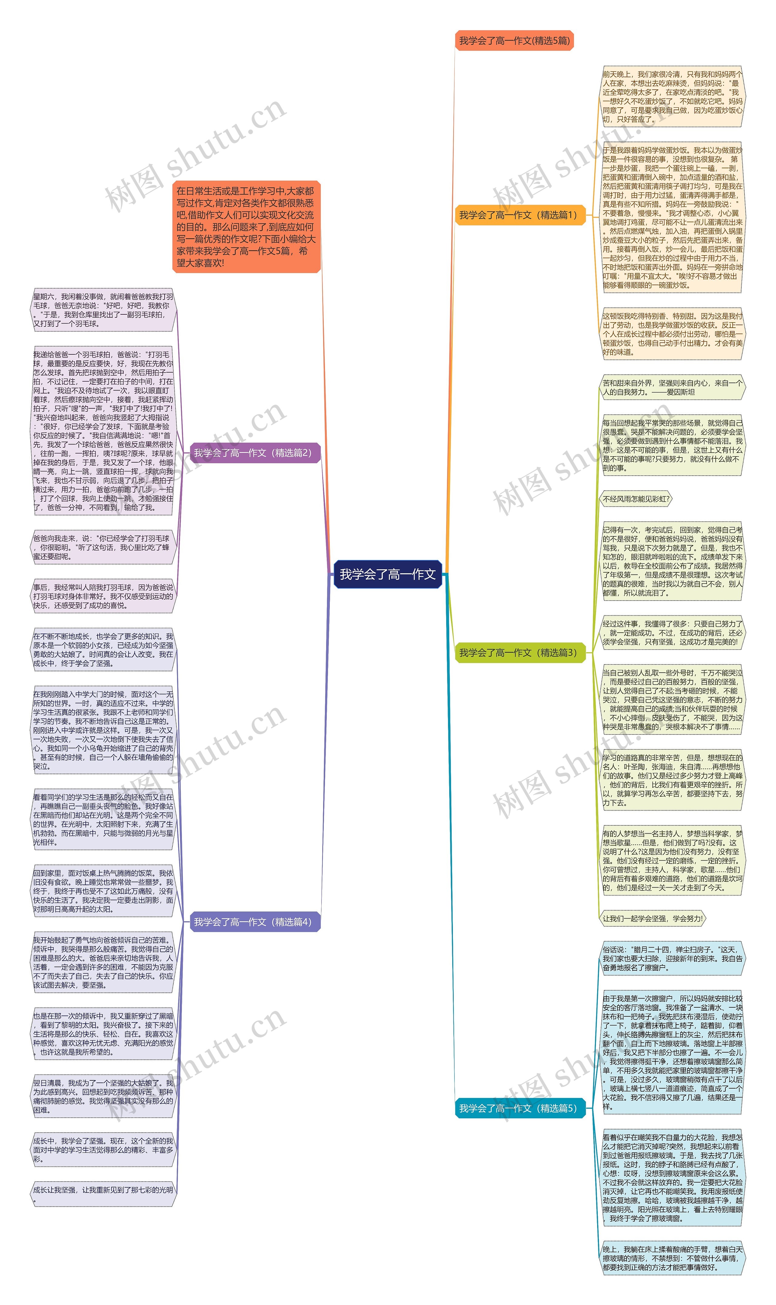 我学会了高一作文思维导图