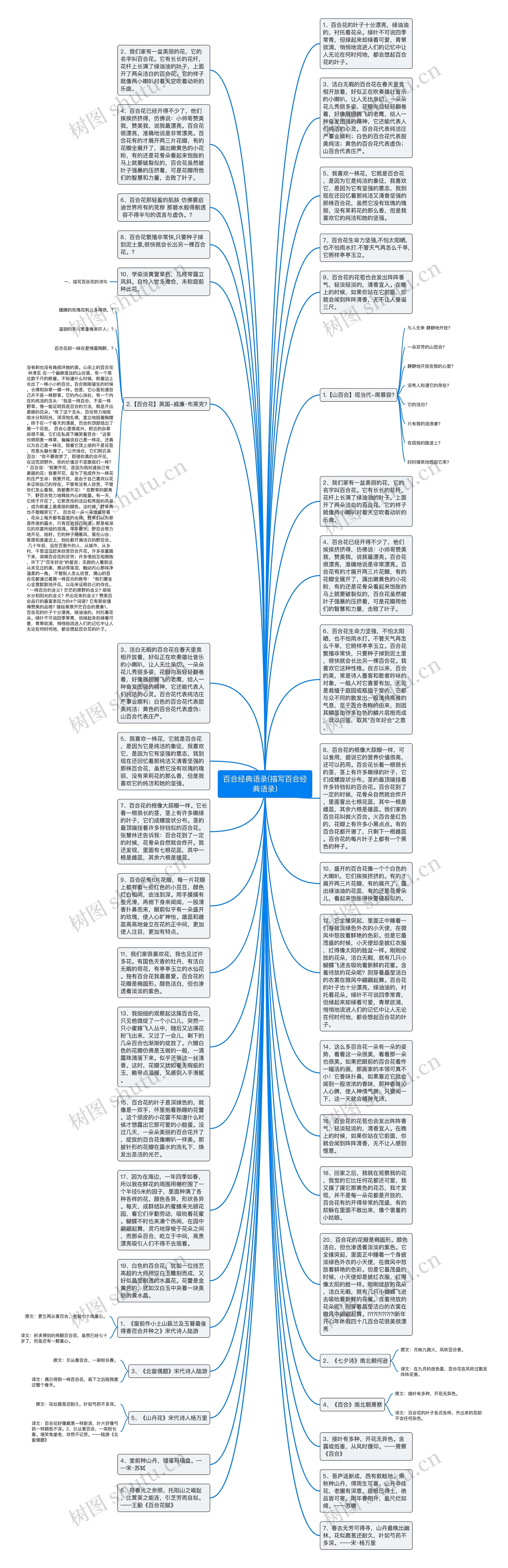 百合经典语录(描写百合经典语录)思维导图