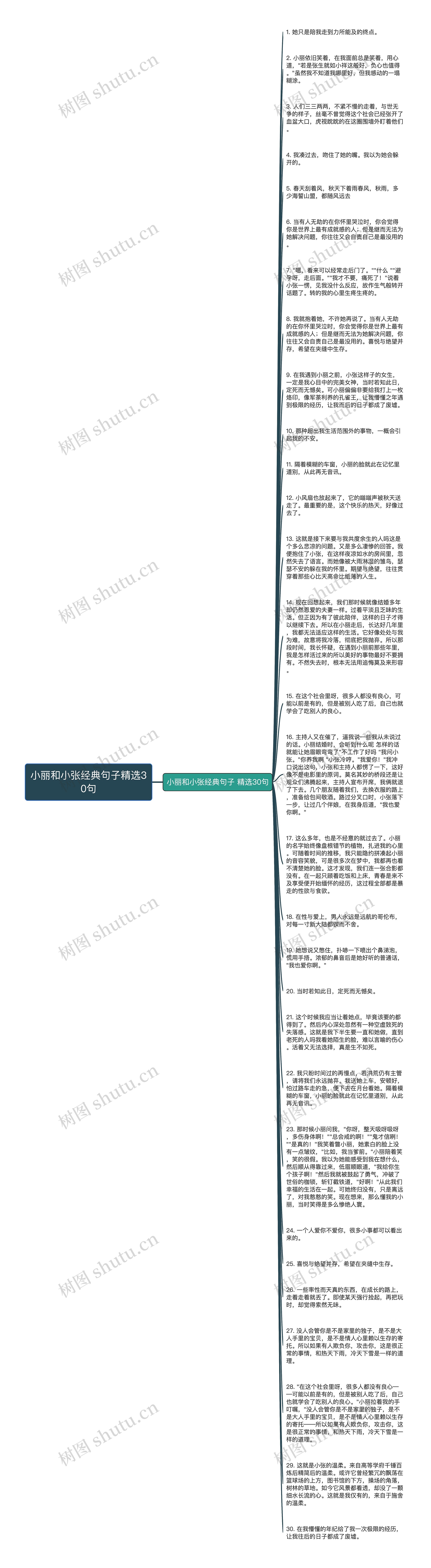 小丽和小张经典句子精选30句思维导图