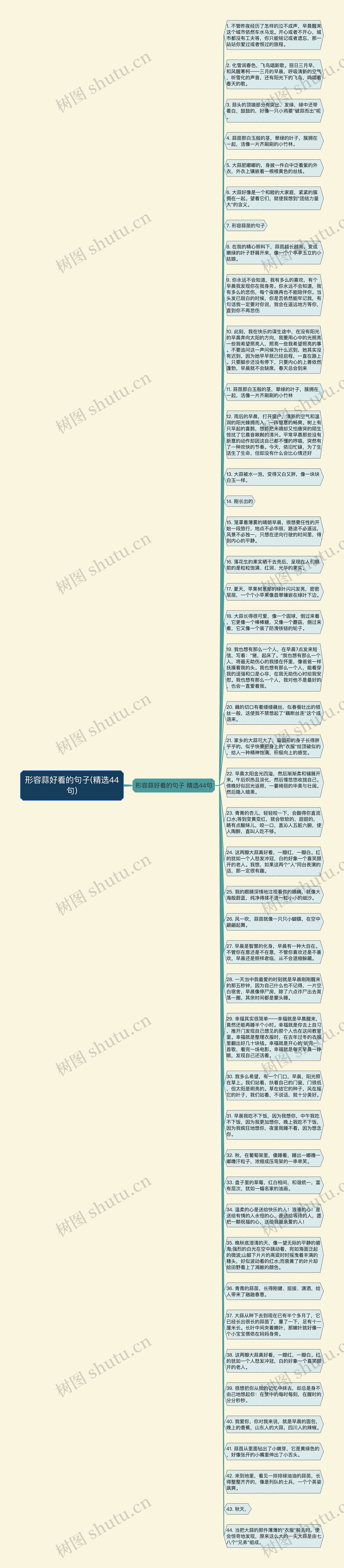 形容蒜好看的句子(精选44句)思维导图