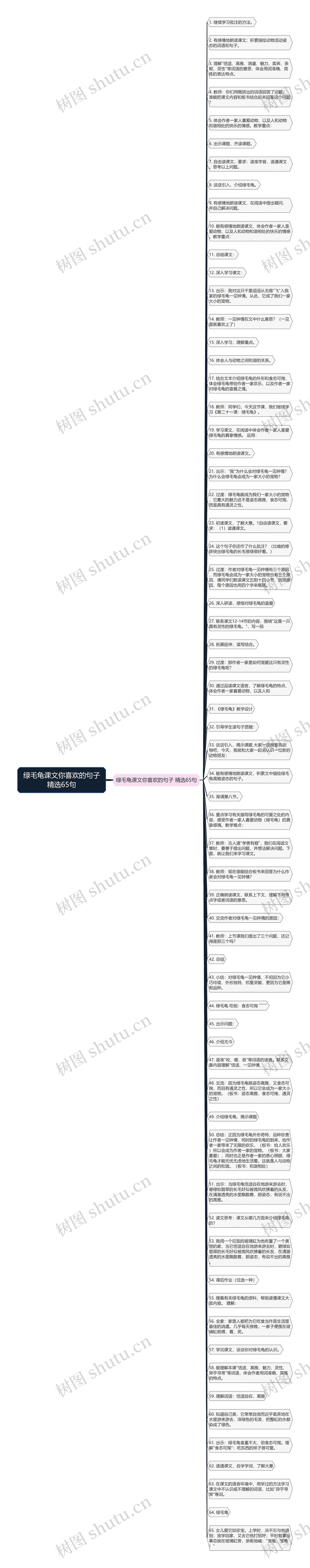绿毛龟课文你喜欢的句子精选65句