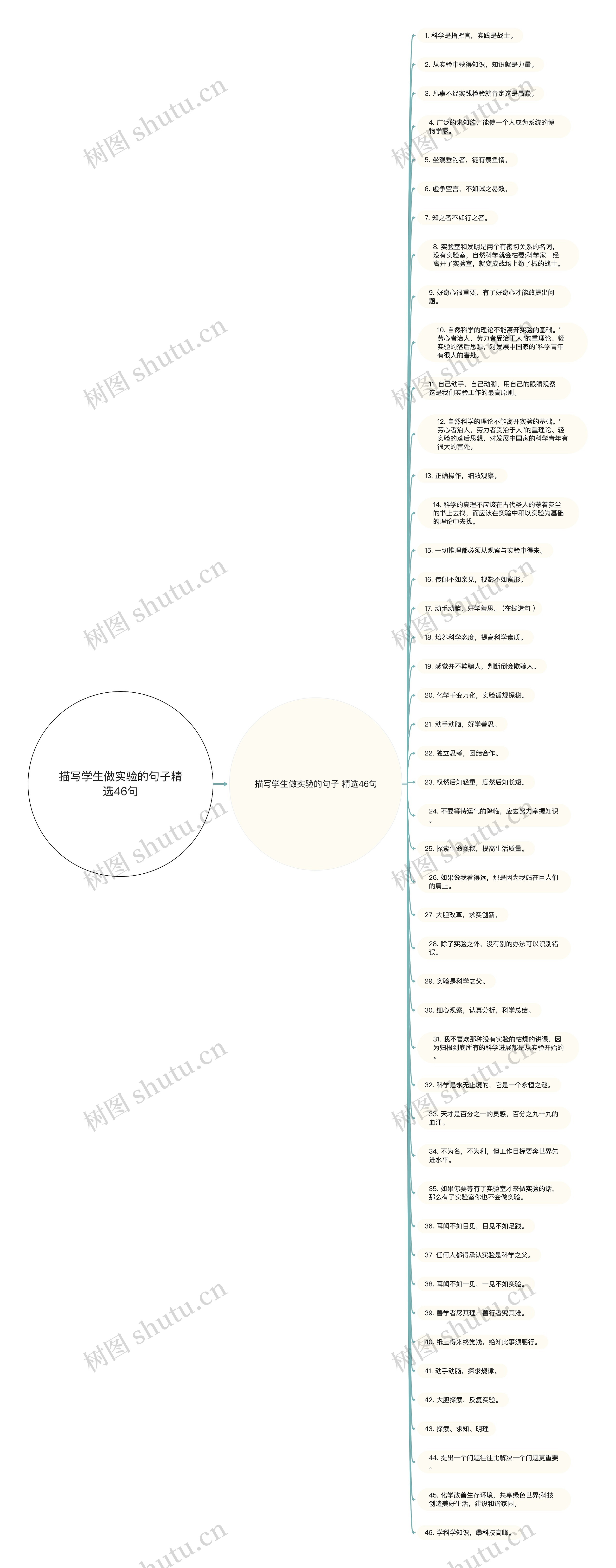 描写学生做实验的句子精选46句