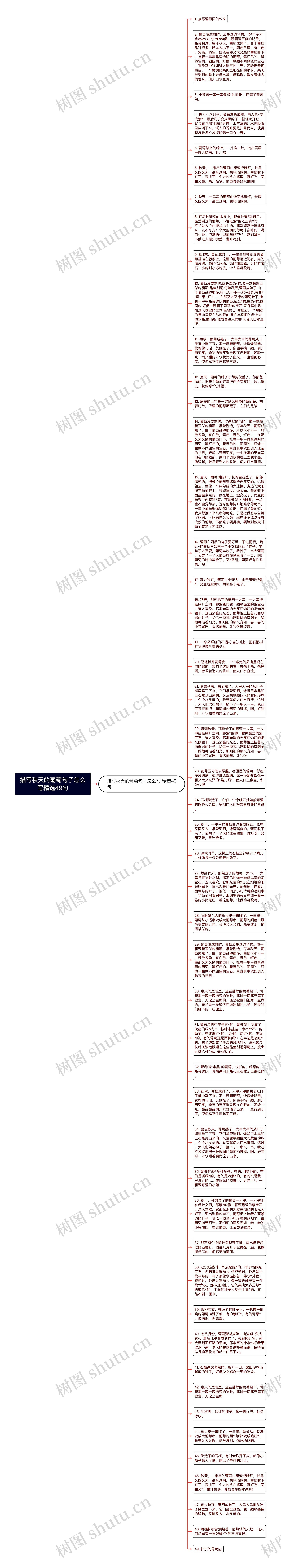 描写秋天的葡萄句子怎么写精选49句思维导图