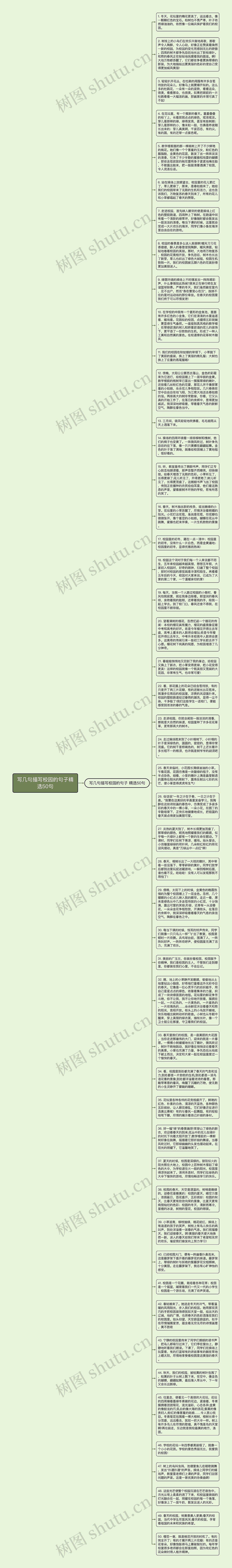 写几句描写校园的句子精选50句