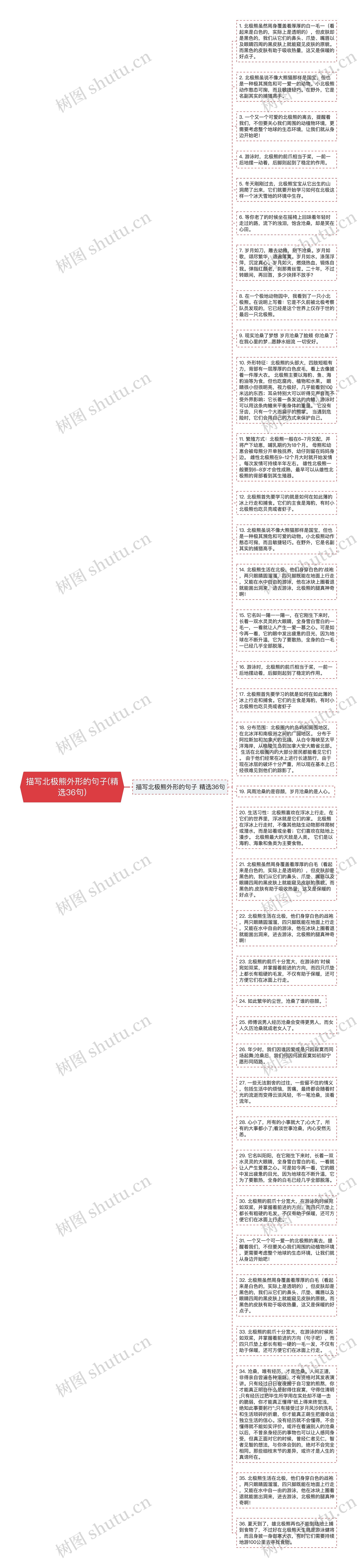 描写北极熊外形的句子(精选36句)