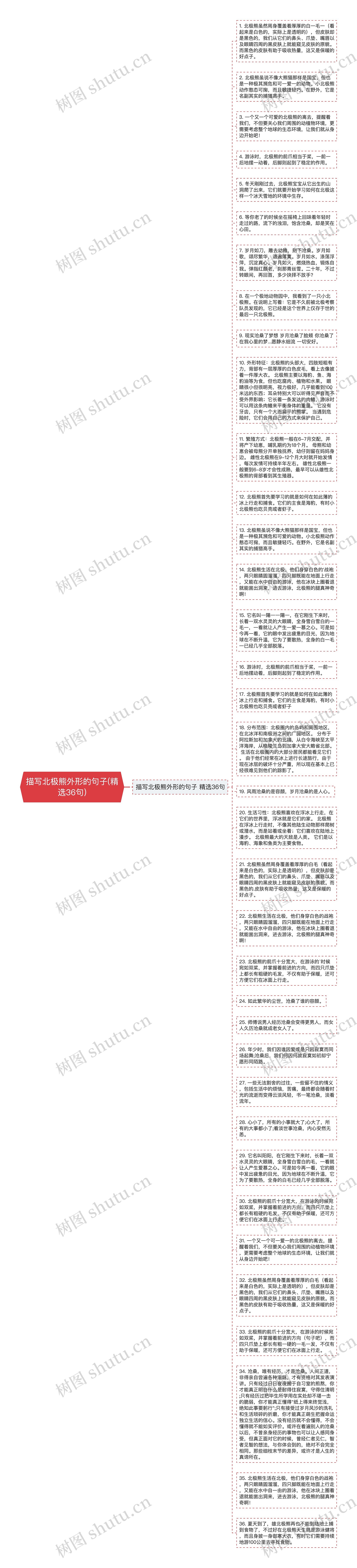 描写北极熊外形的句子(精选36句)思维导图