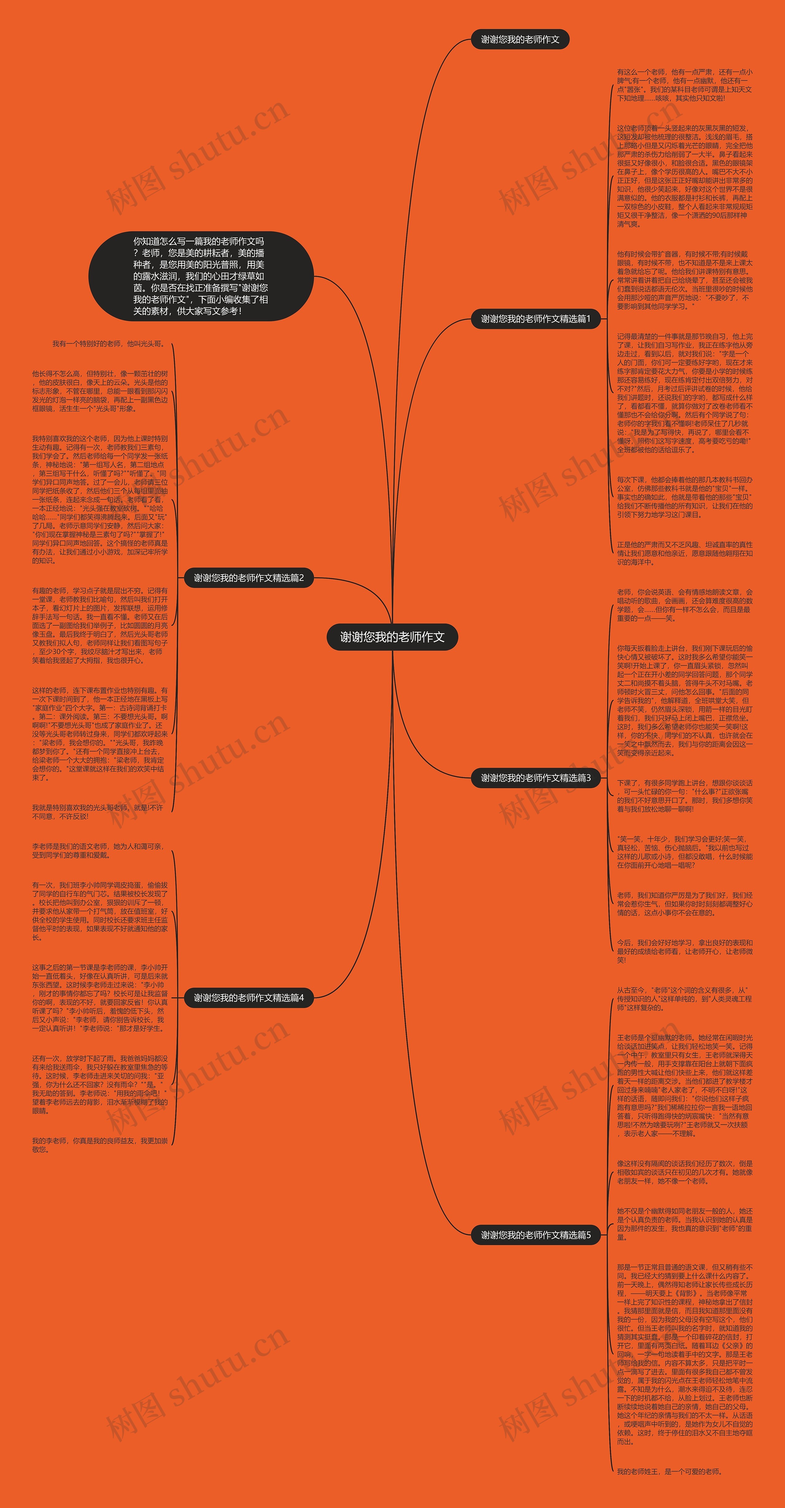 谢谢您我的老师作文思维导图