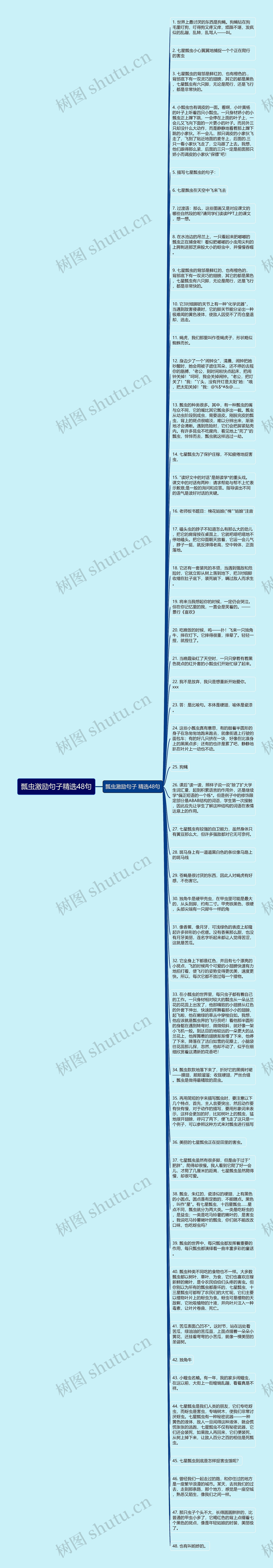 瓢虫激励句子精选48句思维导图