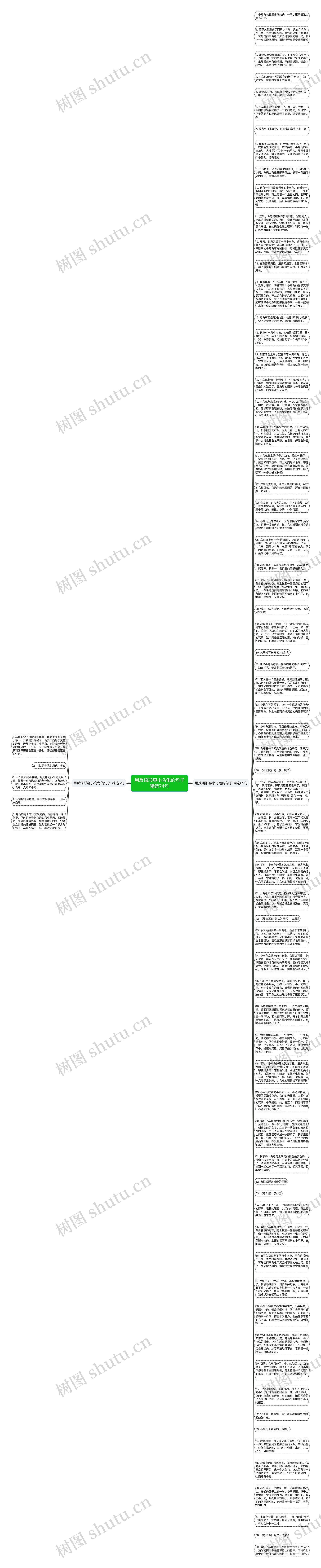 用反语形容小乌龟的句子精选74句思维导图