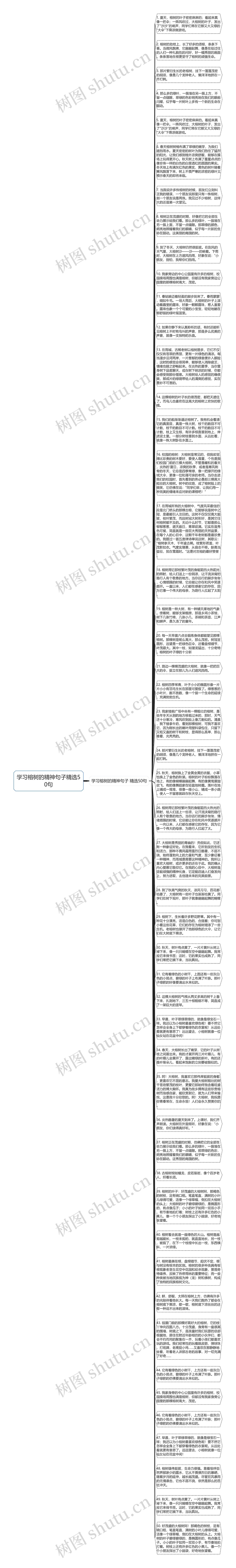 学习榕树的精神句子精选50句思维导图