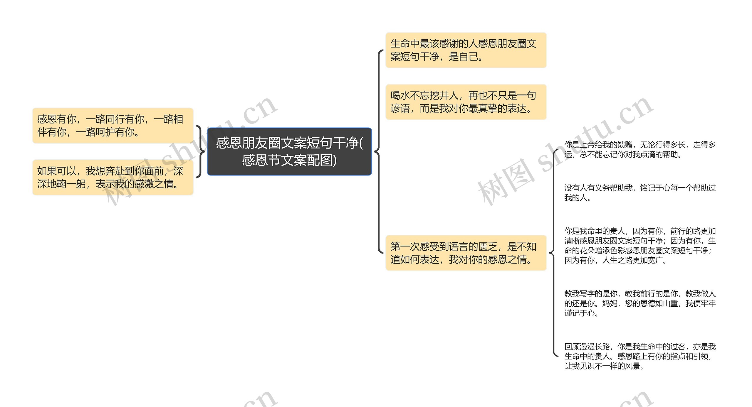 感恩朋友圈文案短句干净(感恩节文案配图)