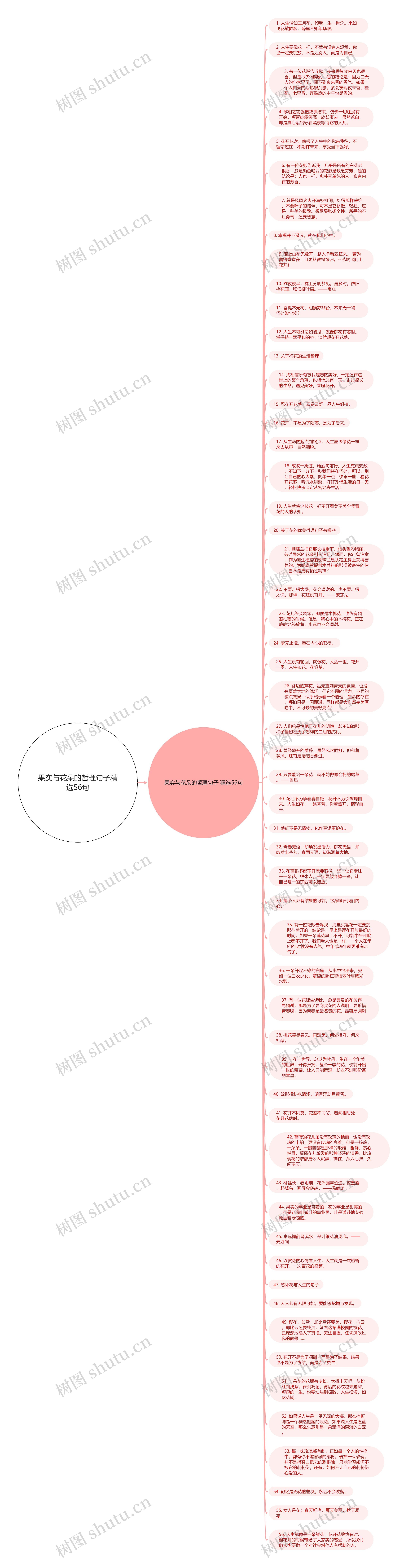 果实与花朵的哲理句子精选56句