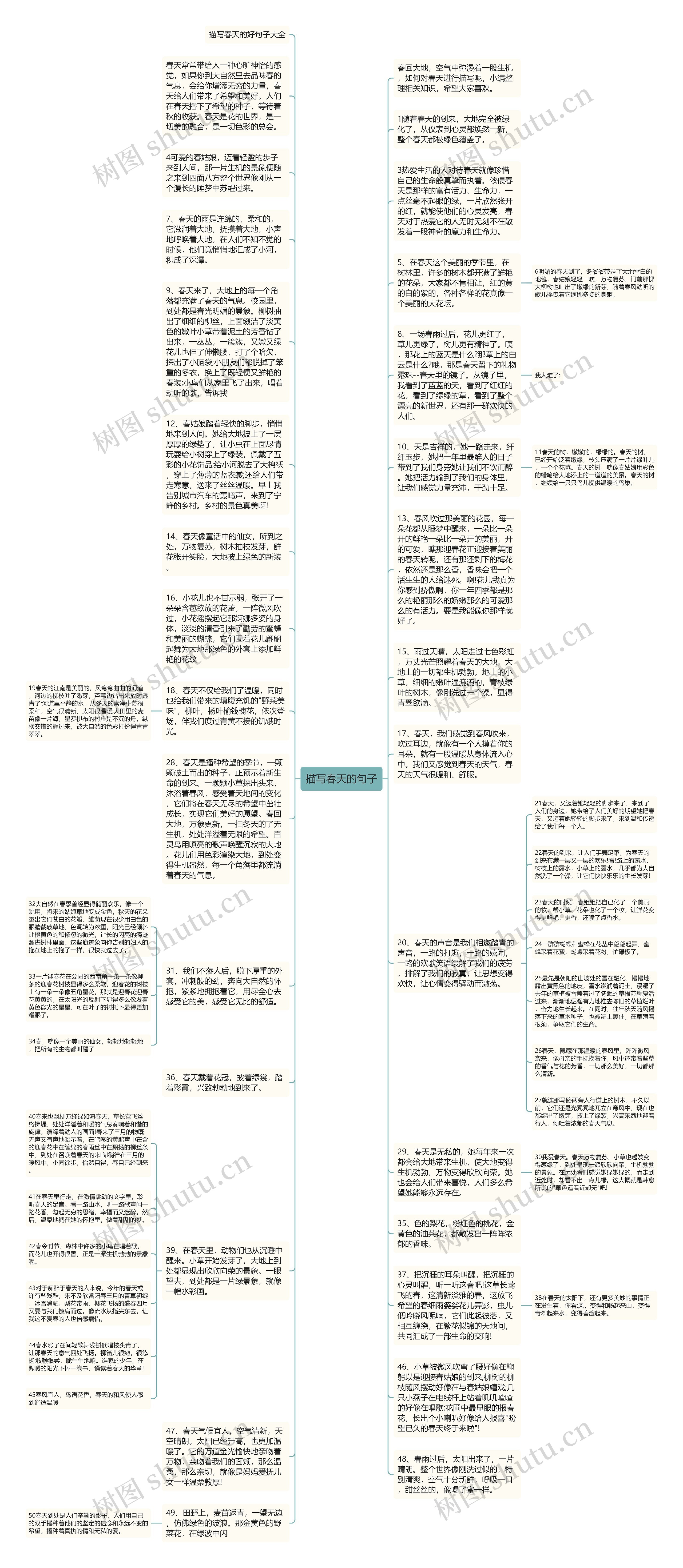 描写春天的句子思维导图