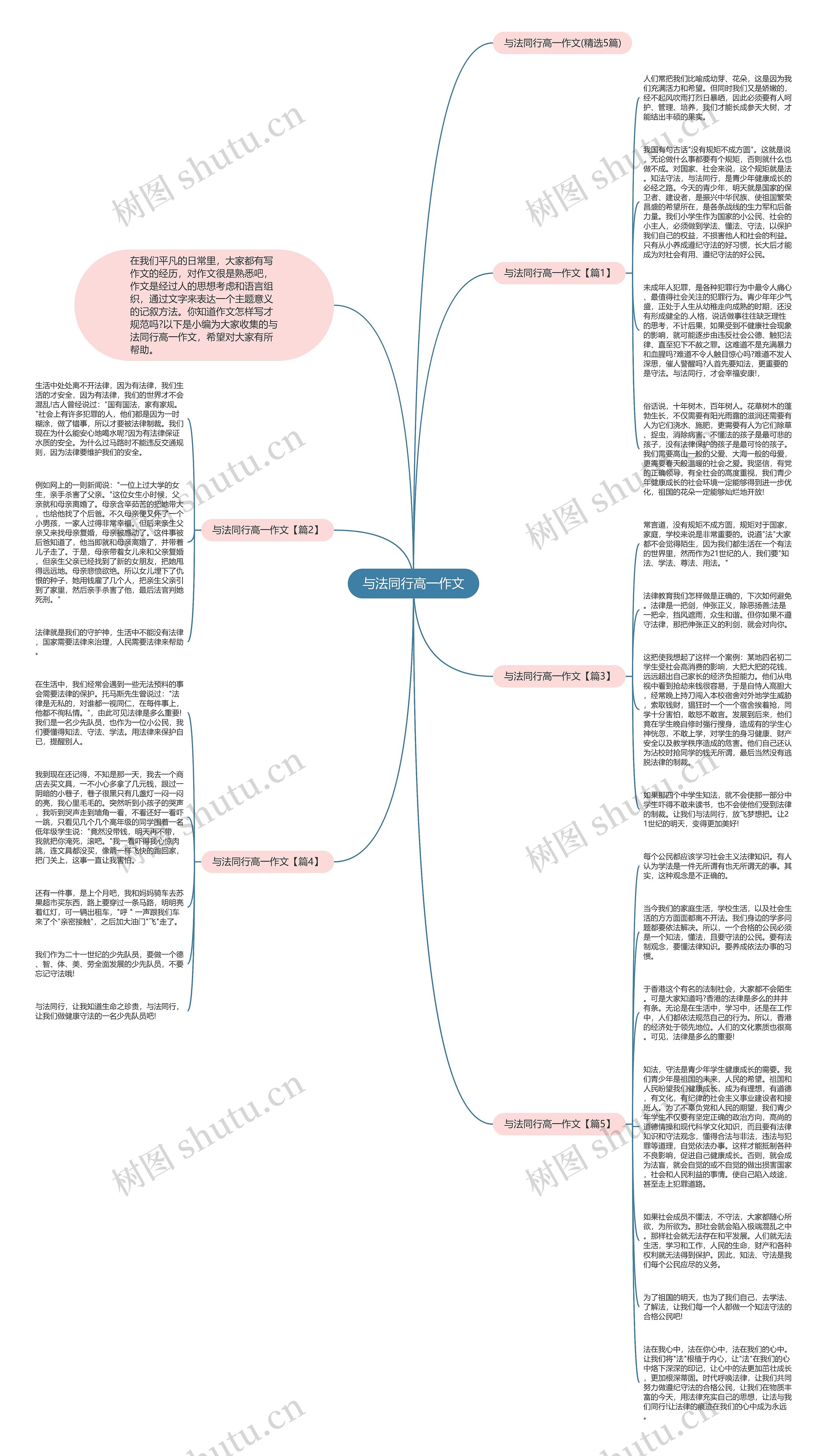 与法同行高一作文思维导图