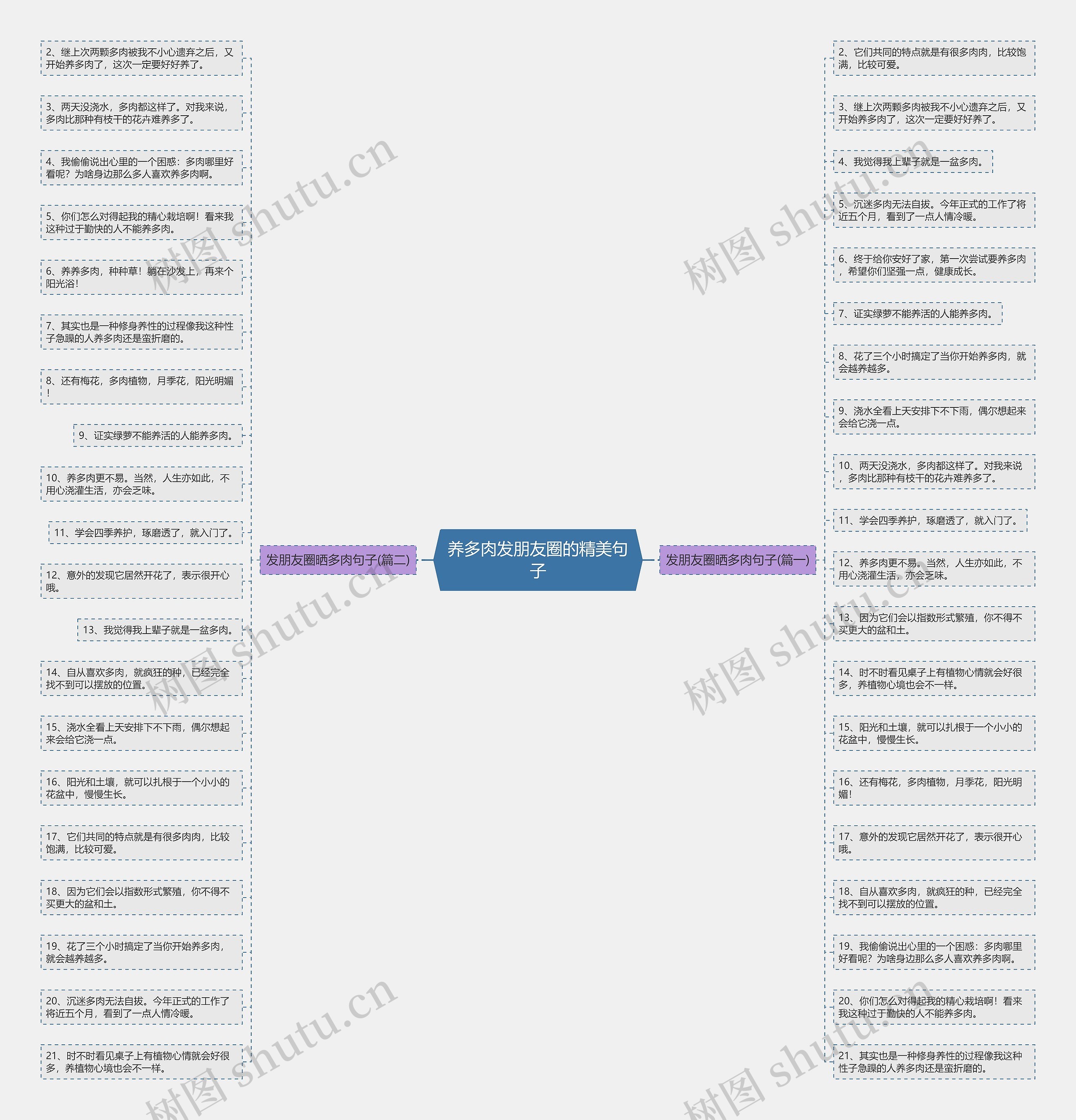 养多肉发朋友圈的精美句子思维导图