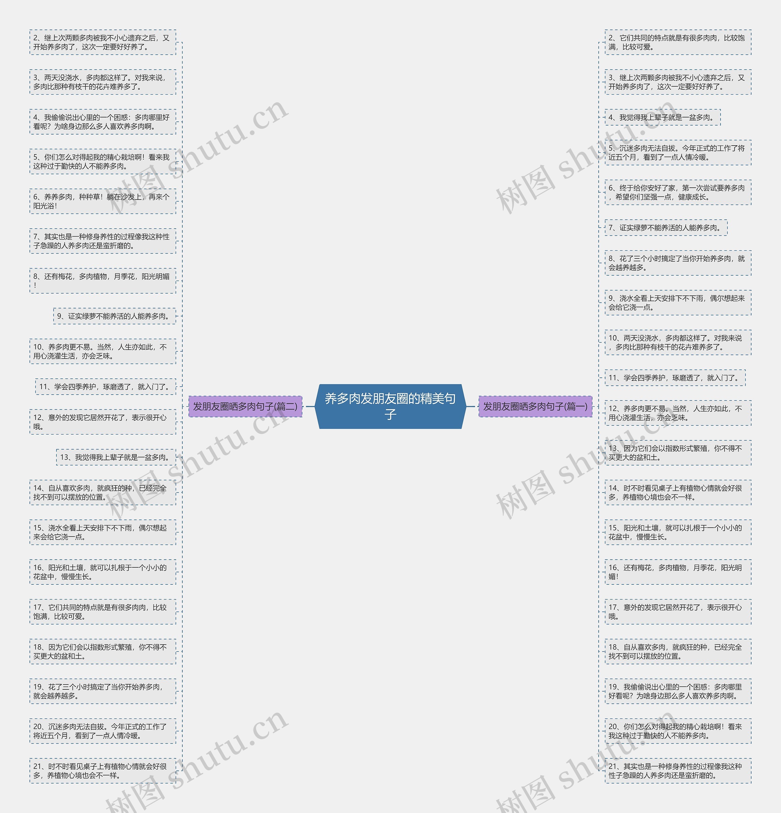 养多肉发朋友圈的精美句子 养多肉发朋友圈的精美句子