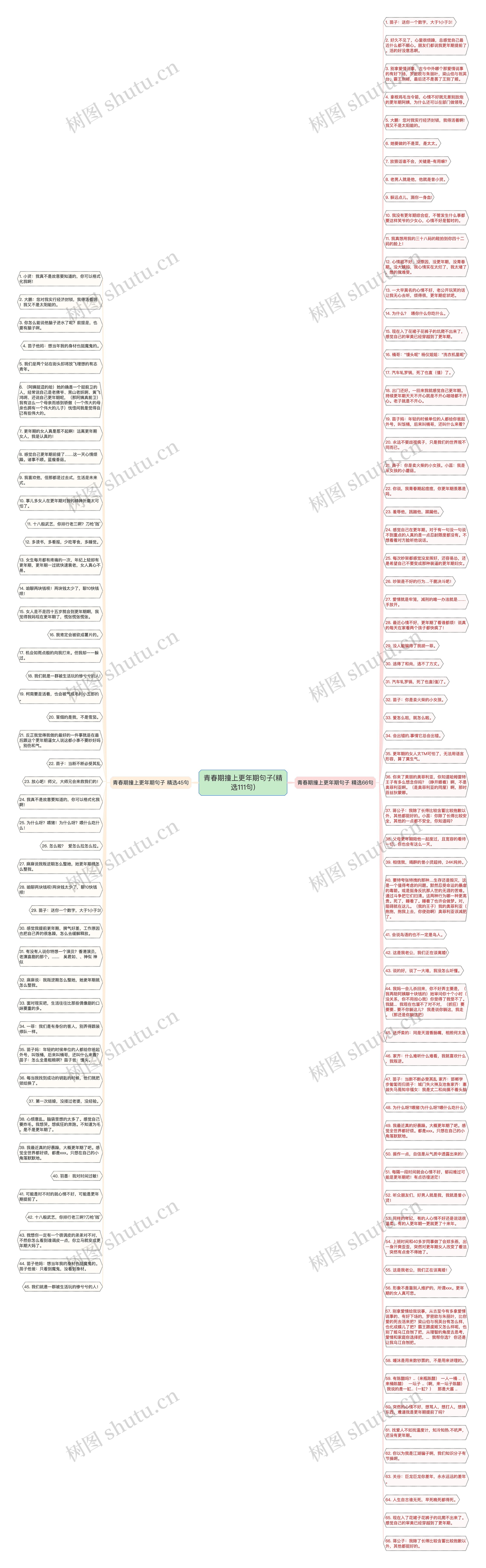 青春期撞上更年期句子(精选111句)思维导图