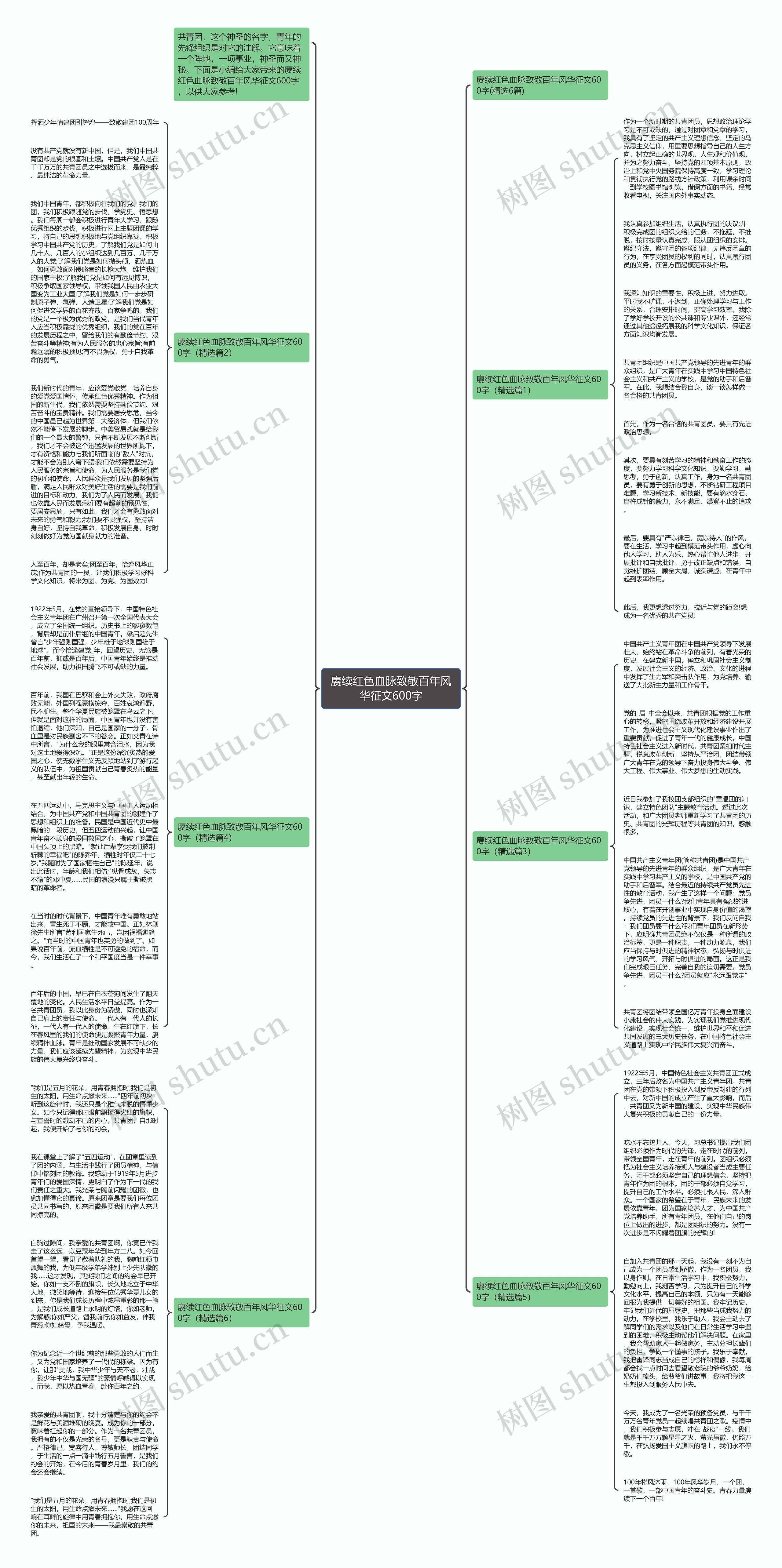 赓续红色血脉致敬百年风华征文600字思维导图