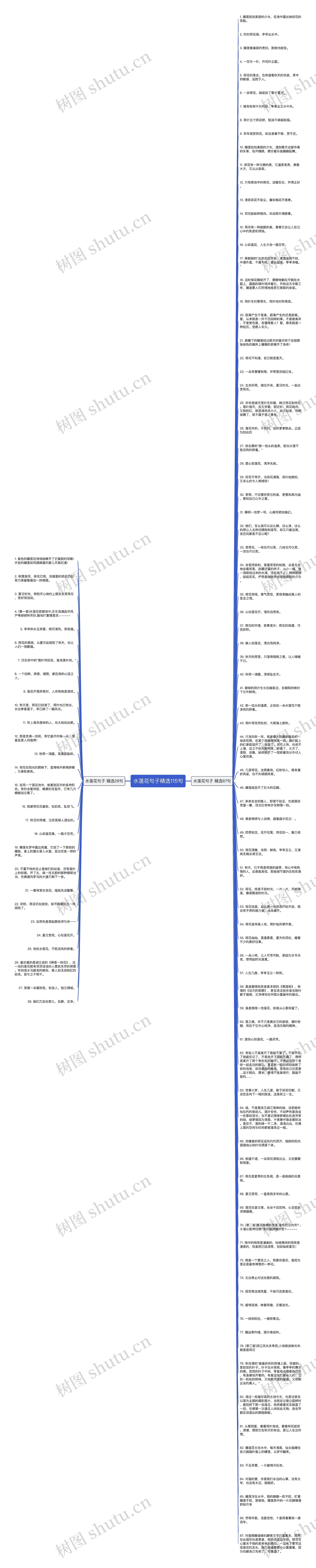 水莲花句子精选115句思维导图