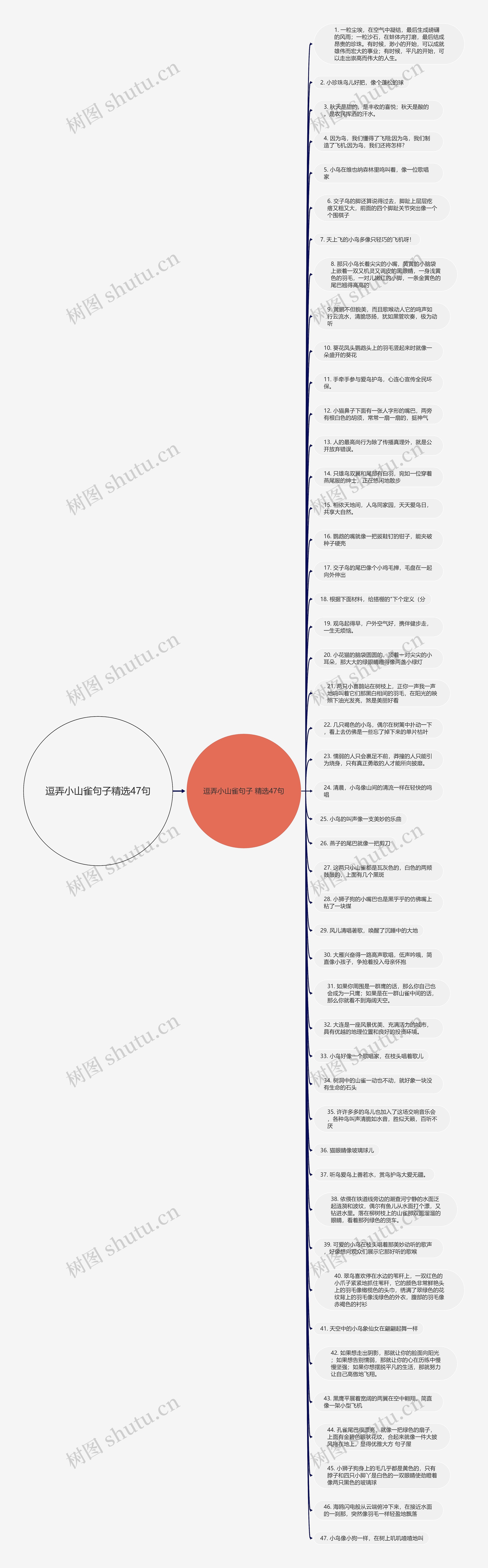 逗弄小山雀句子精选47句