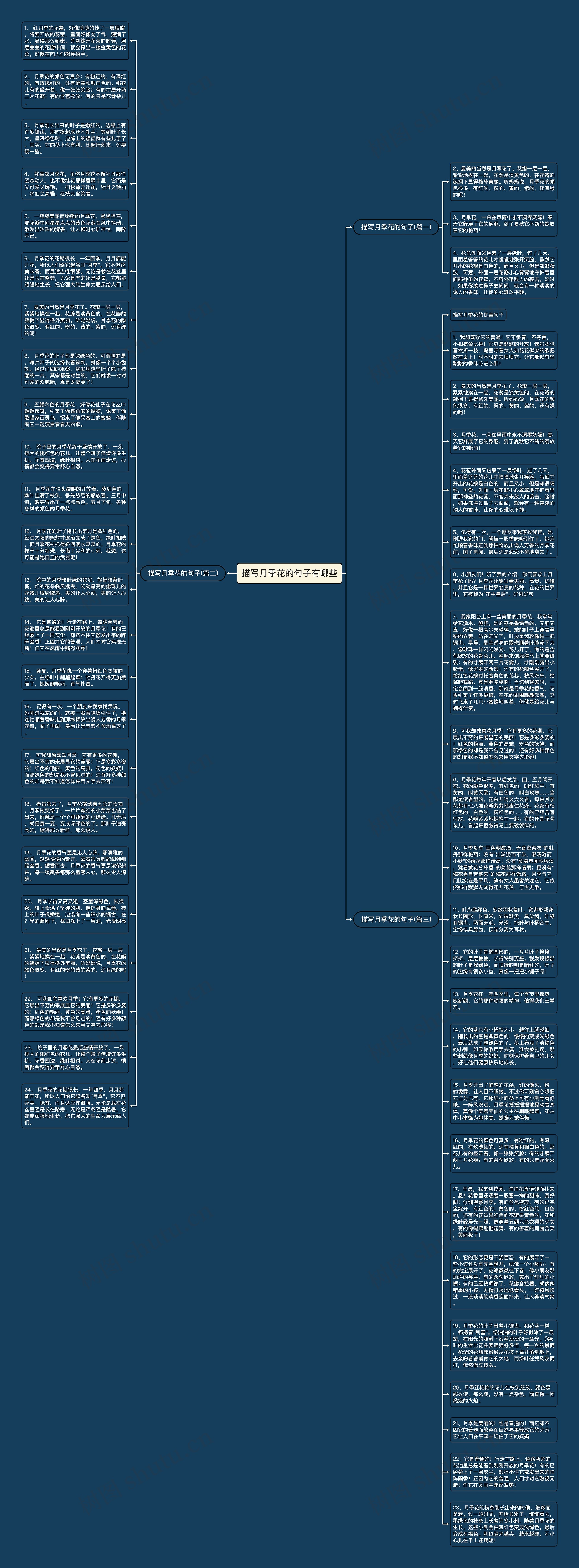 描写月季花的句子有哪些思维导图
