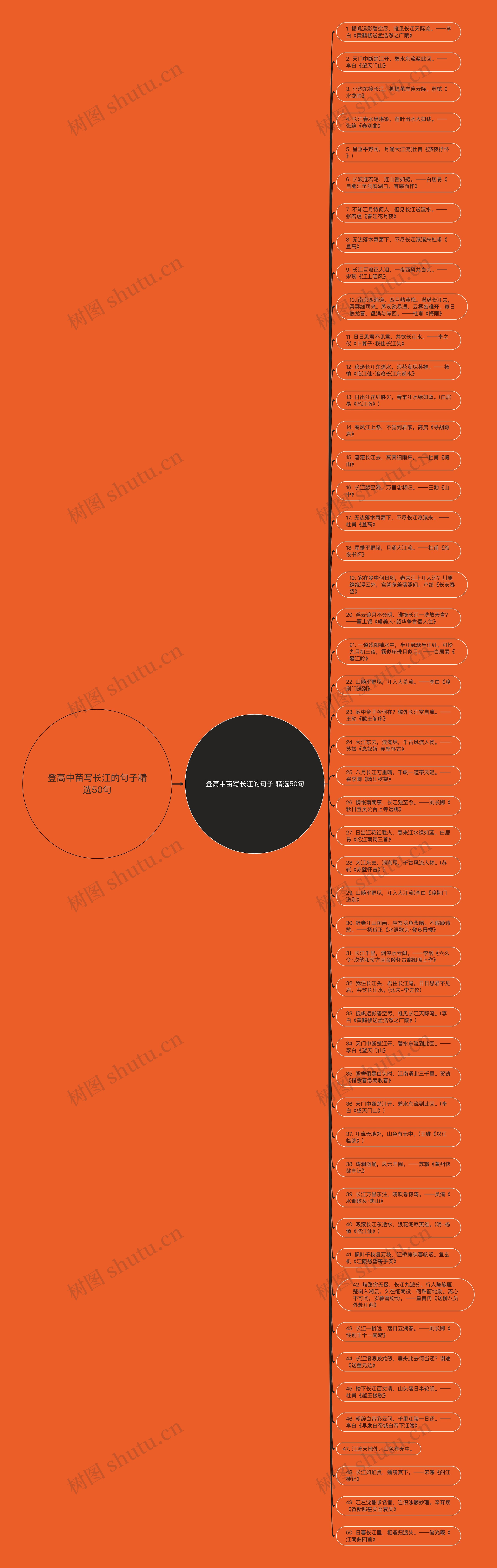 登高中苗写长江的句子精选50句