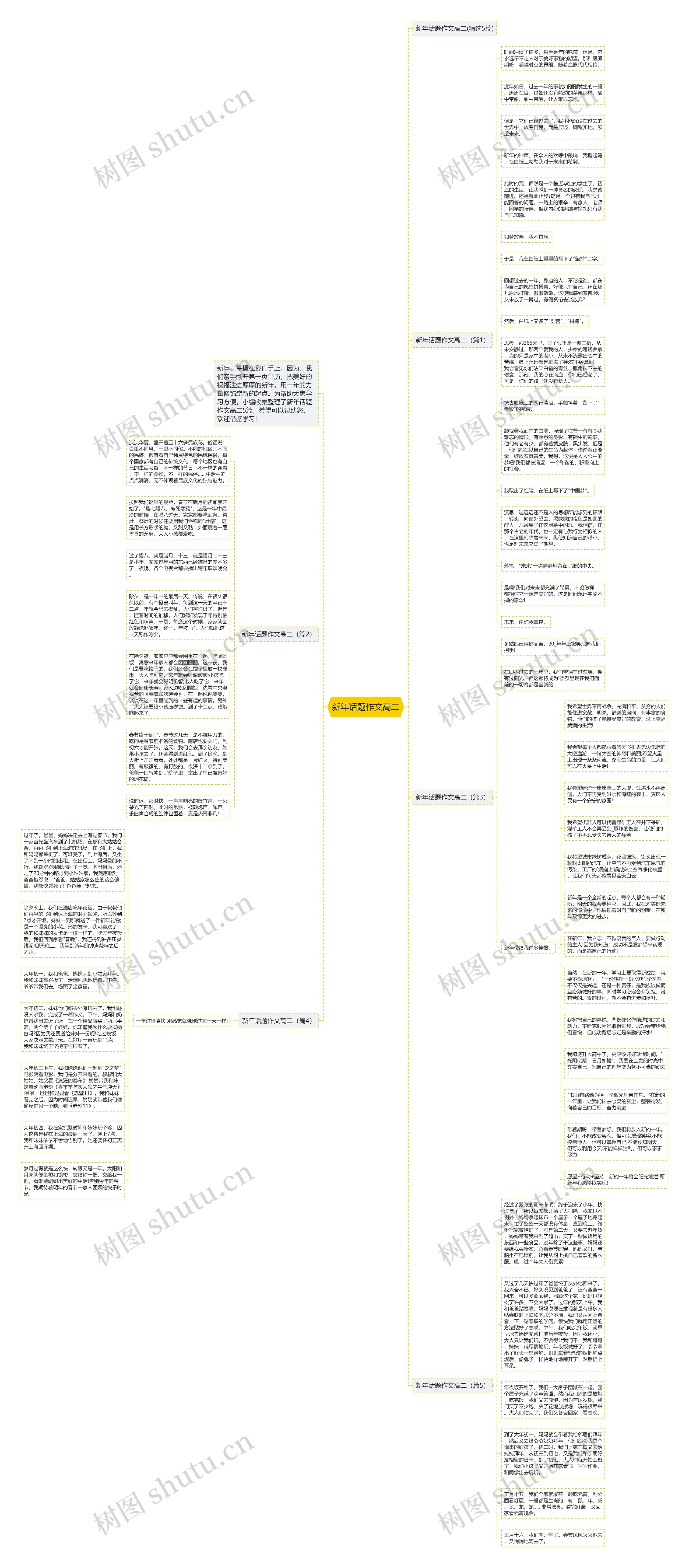 新年话题作文高二思维导图